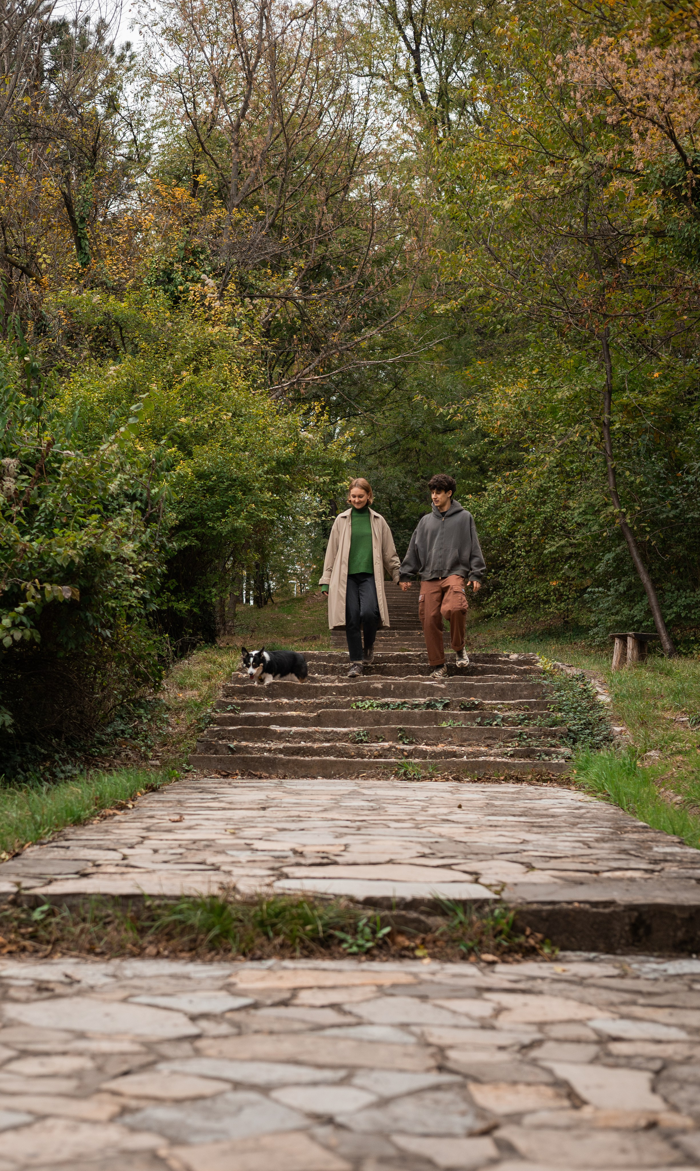 Даня, Аня и Плюша. Фотограф-анималист | Белград