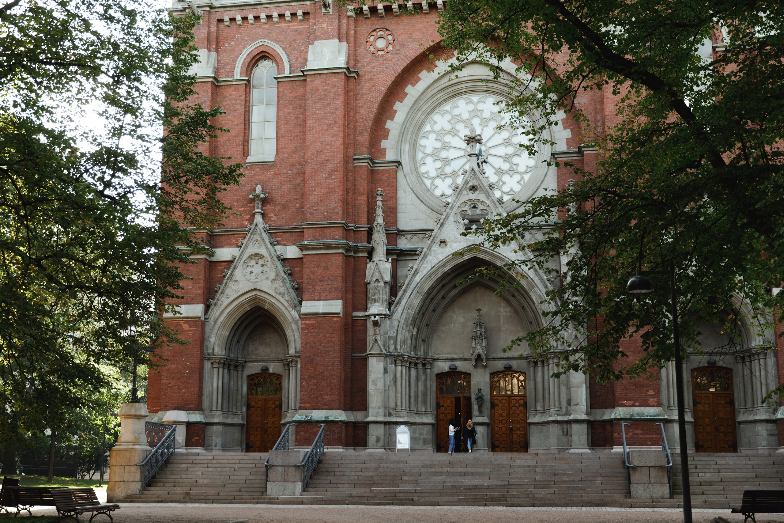 Helsinki. Kaja | fotograf psów we Wrocławiu