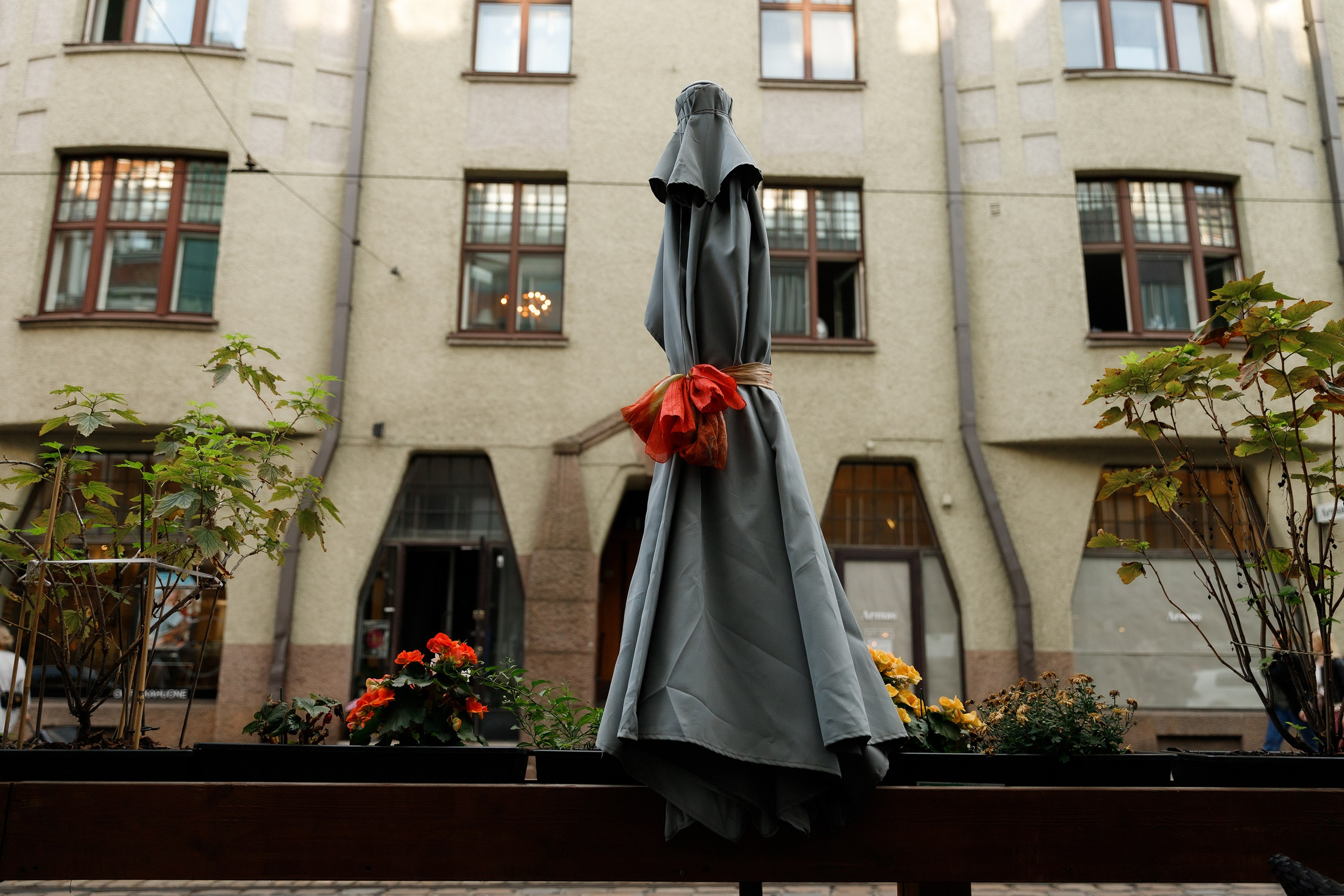 Helsinki. Kaja | fotograf psów we Wrocławiu