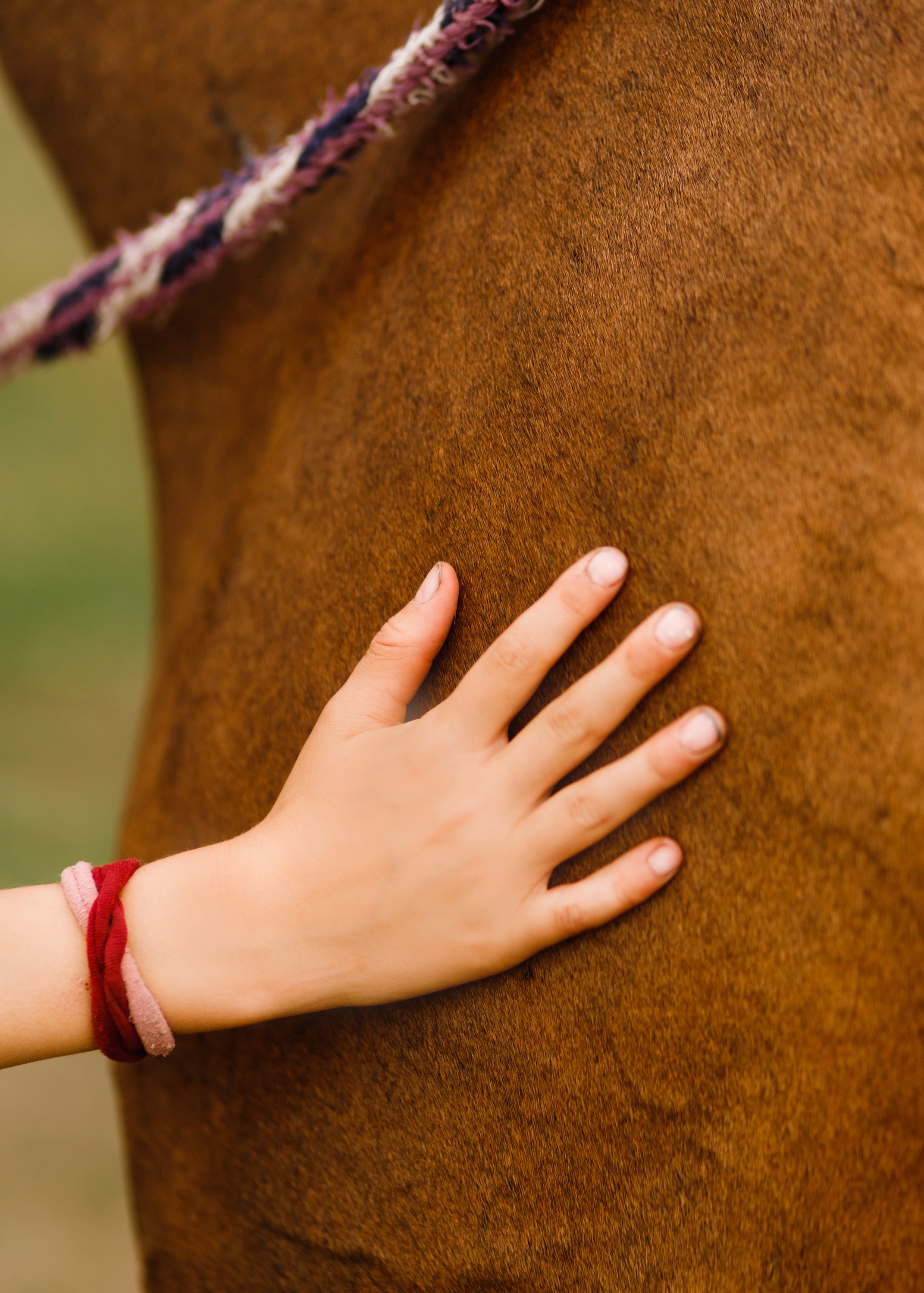 Girls & horses, summer. Kaja | fotograf psów we Wrocławiu