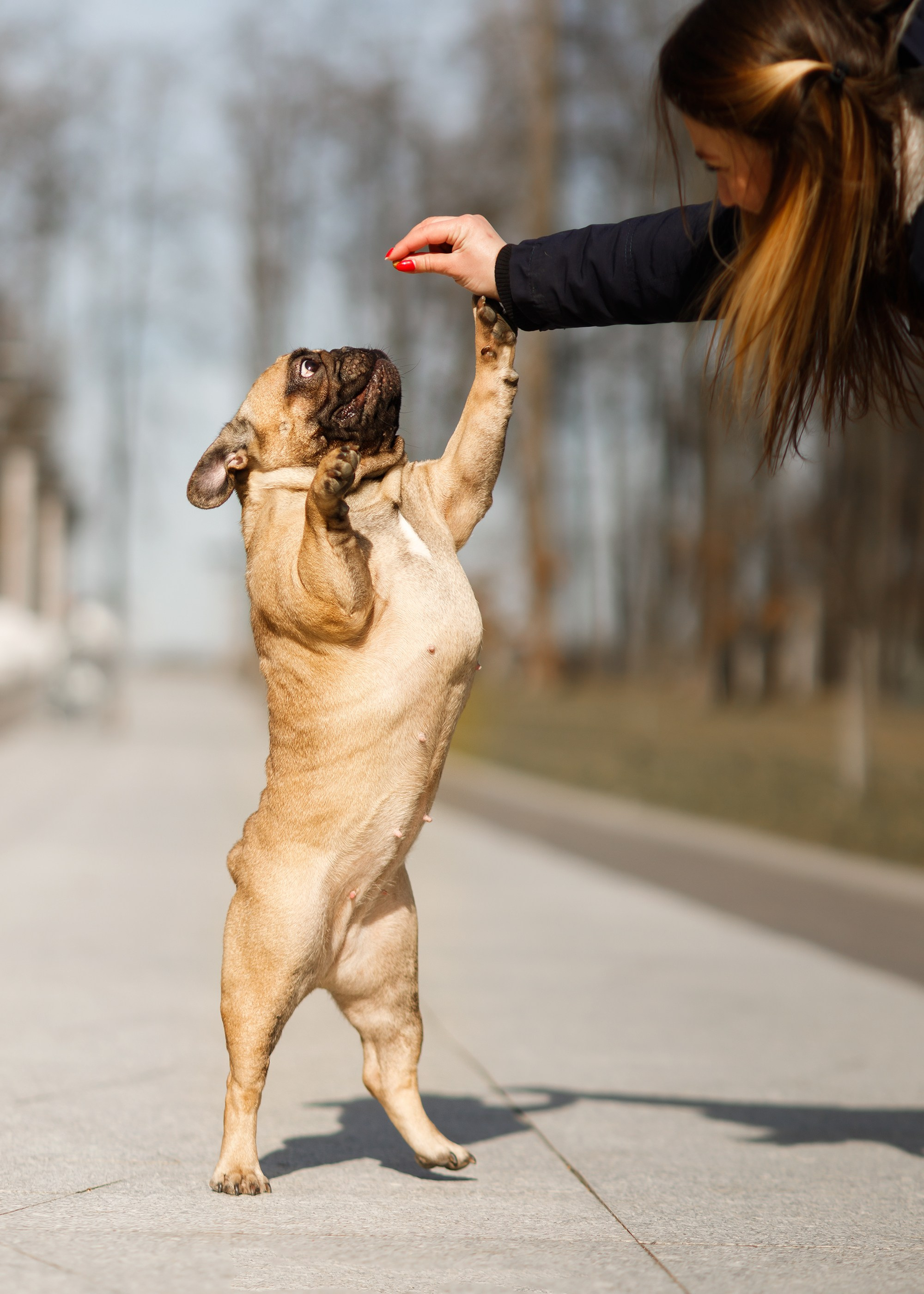 Autumn photo day for dog handler. Kaja | fotograf we Wrocławiu | ludzie i psy