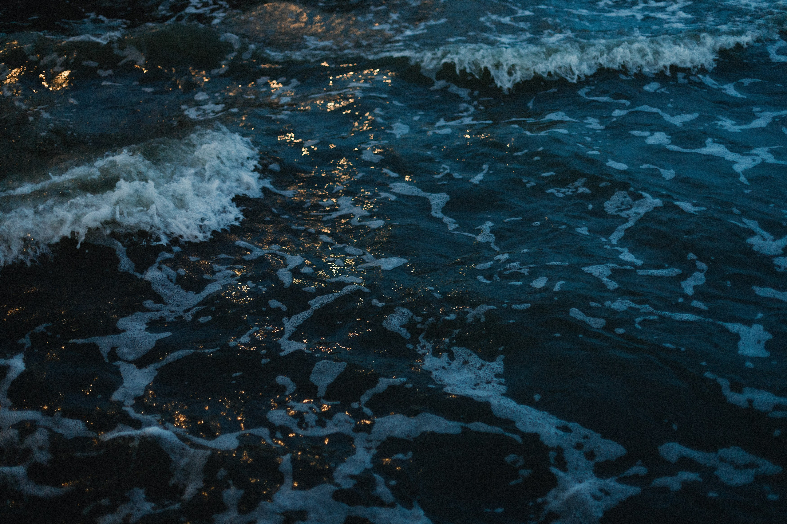 Darya & sea. Kaja | fotograf psów we Wrocławiu