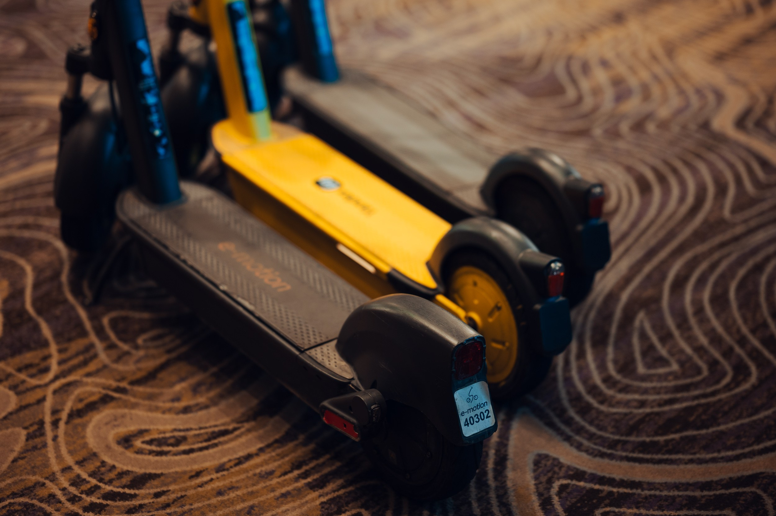 Pre-IPO |Презентация. Фотограф в Бишкеке Андрей Кавешников