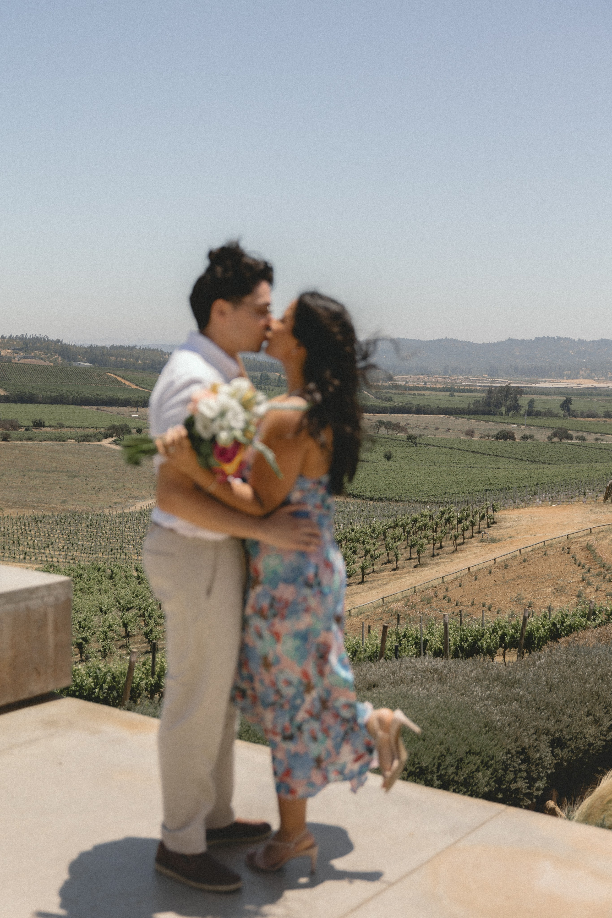 Brian & Erika. Wedding proposal. Fotógrafa familiar Santiago y Chile Anna Almazova
