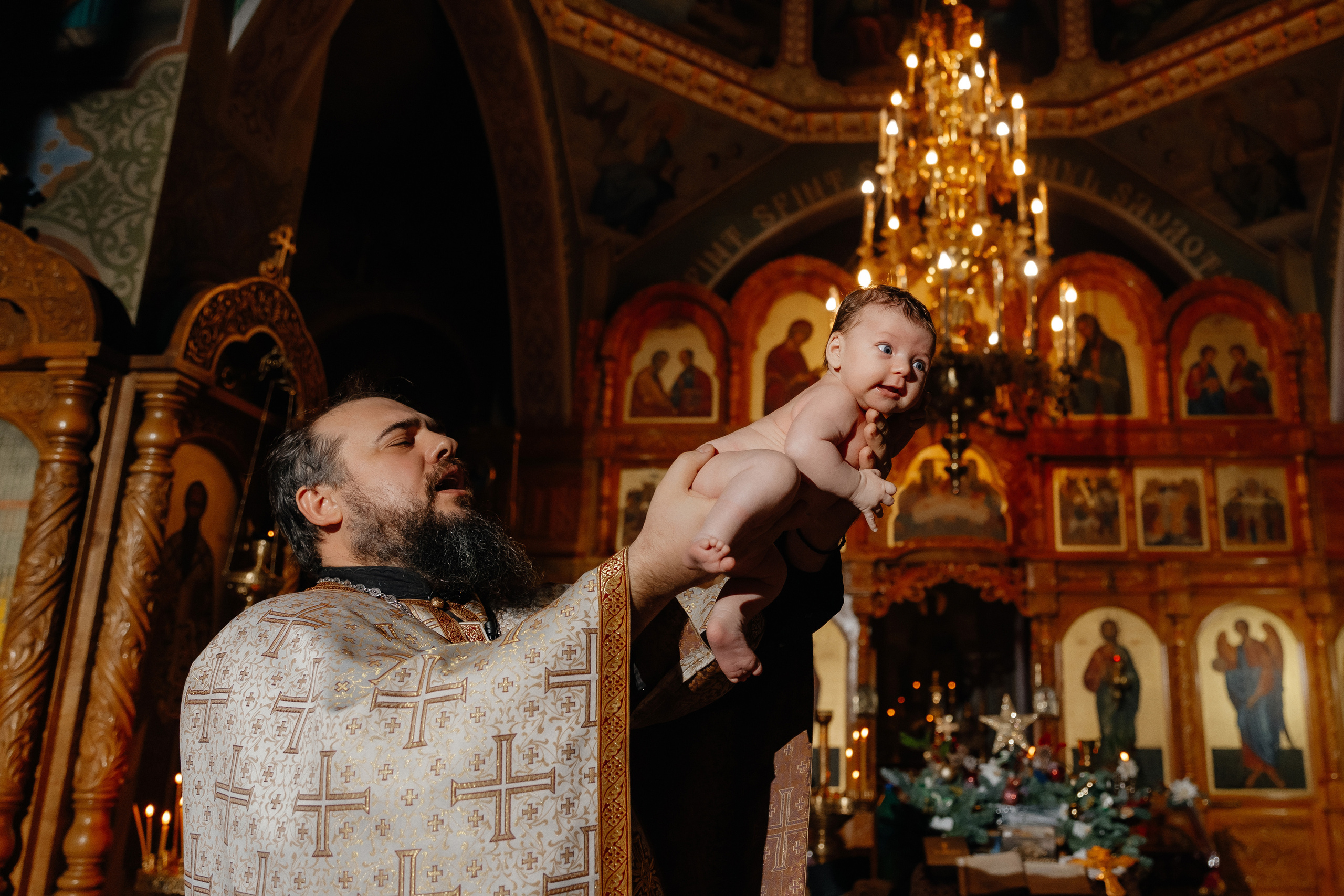 FEEDBACK. Fulga Photographer