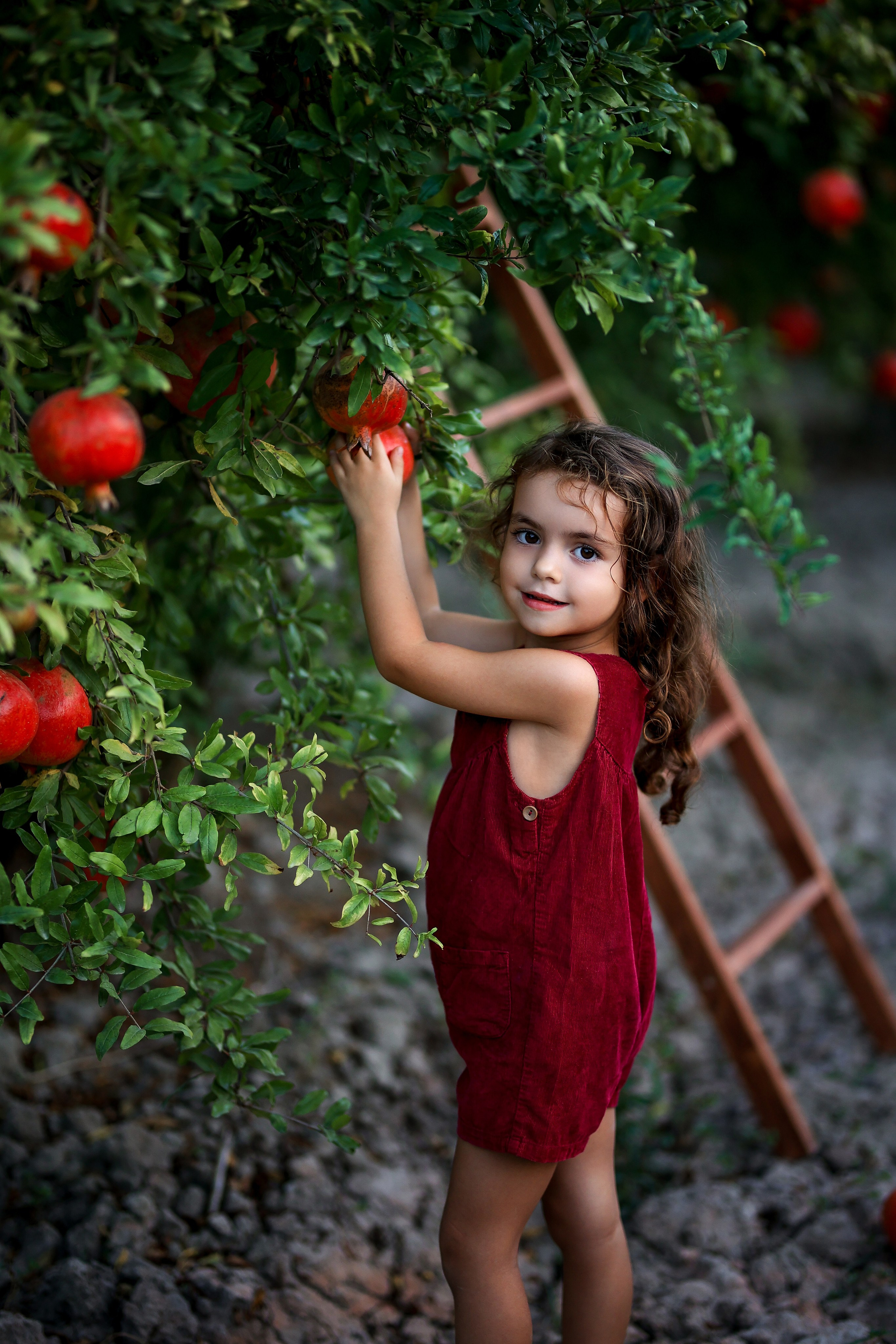 Photoshooting in pomegranate garden. Photographer in Turkey, Antalya, Kemer, Belek, Side, Kas, Fethiye