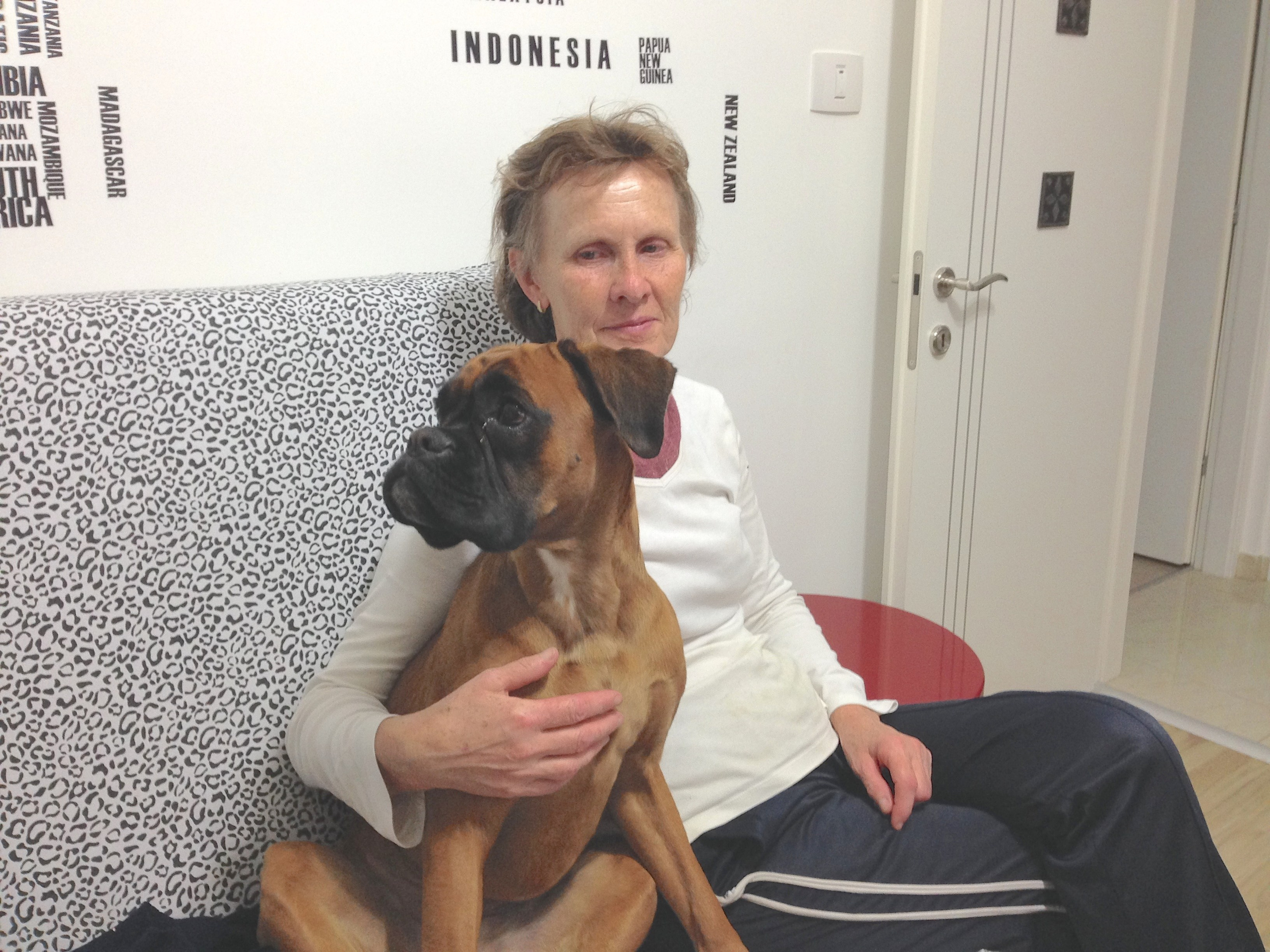 My ״Star״ Boxer Dog