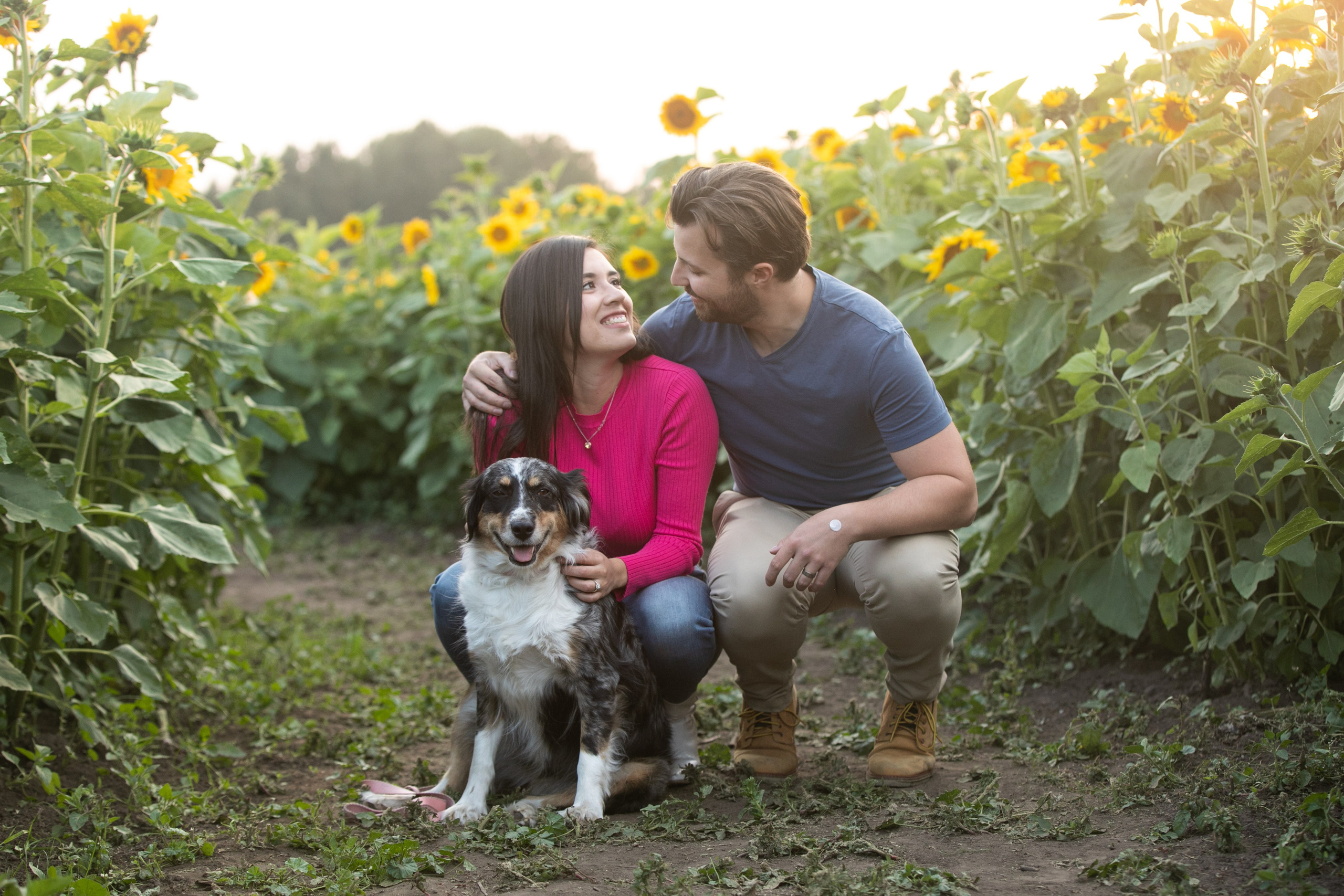 Bowden Sunmaze Ana Pau. Fotografía accesible en Calgary