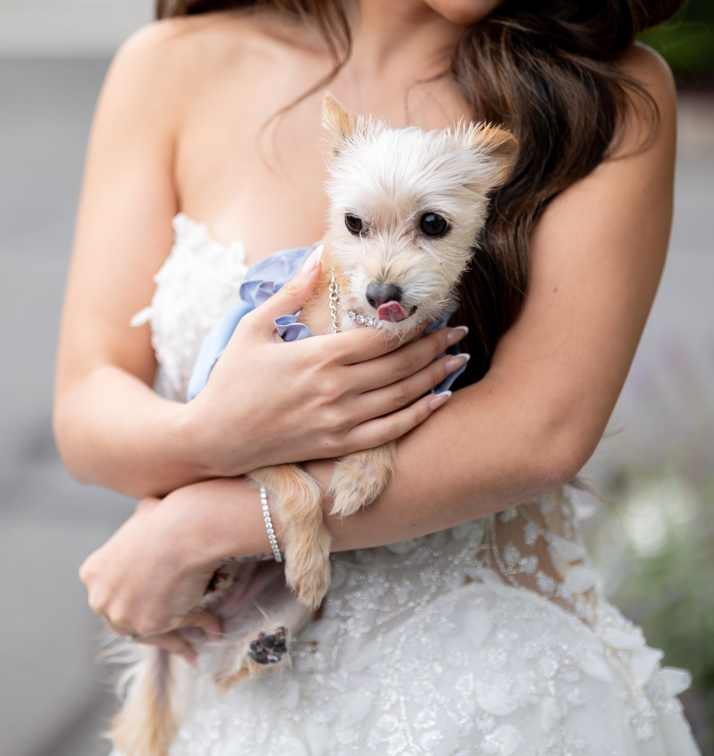 Anna & Gary at The Palace at Somerset Park, NJ. Wedding Photo & Video