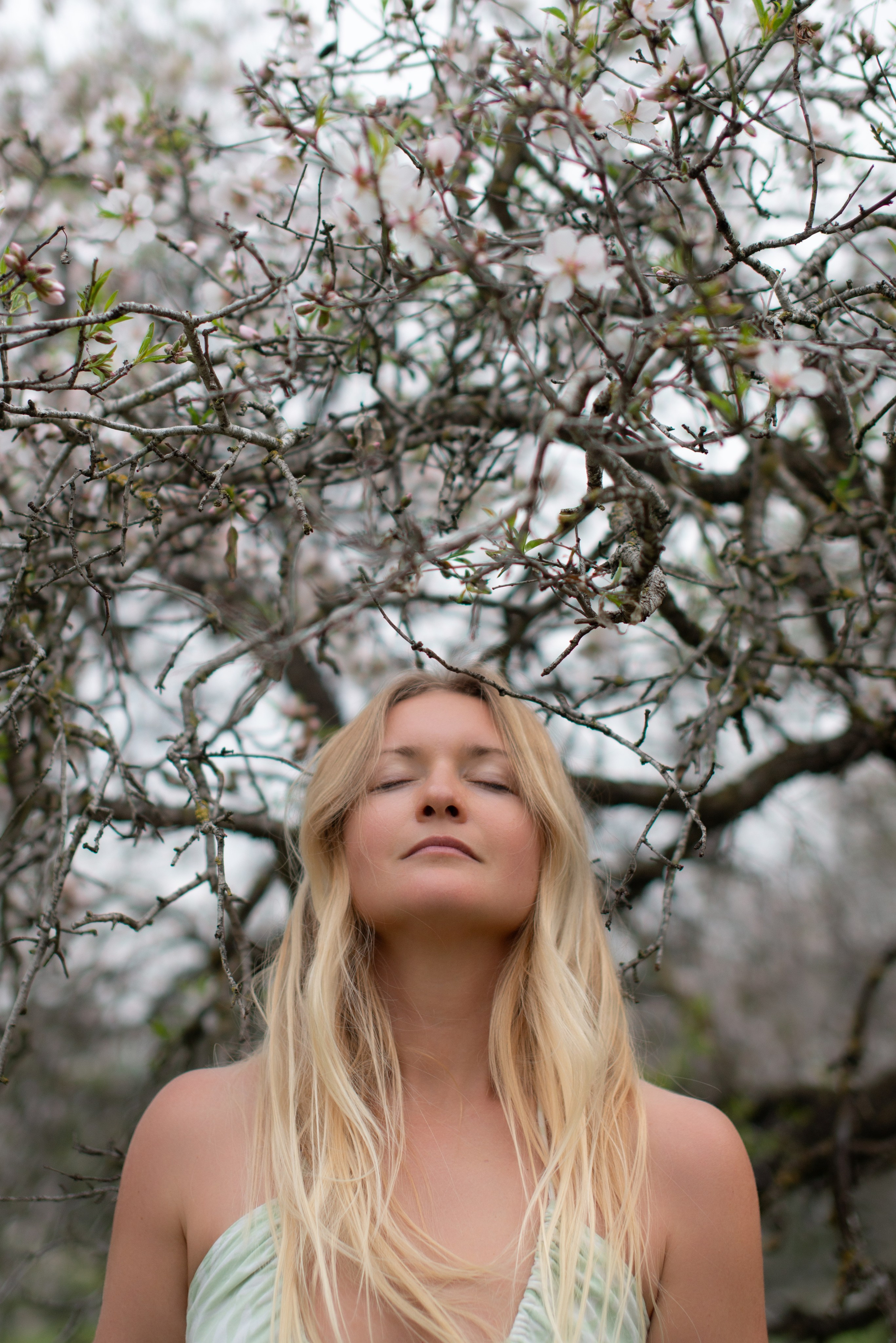 Blooming photoshoot. Dina Solomina | Photographer in Israel