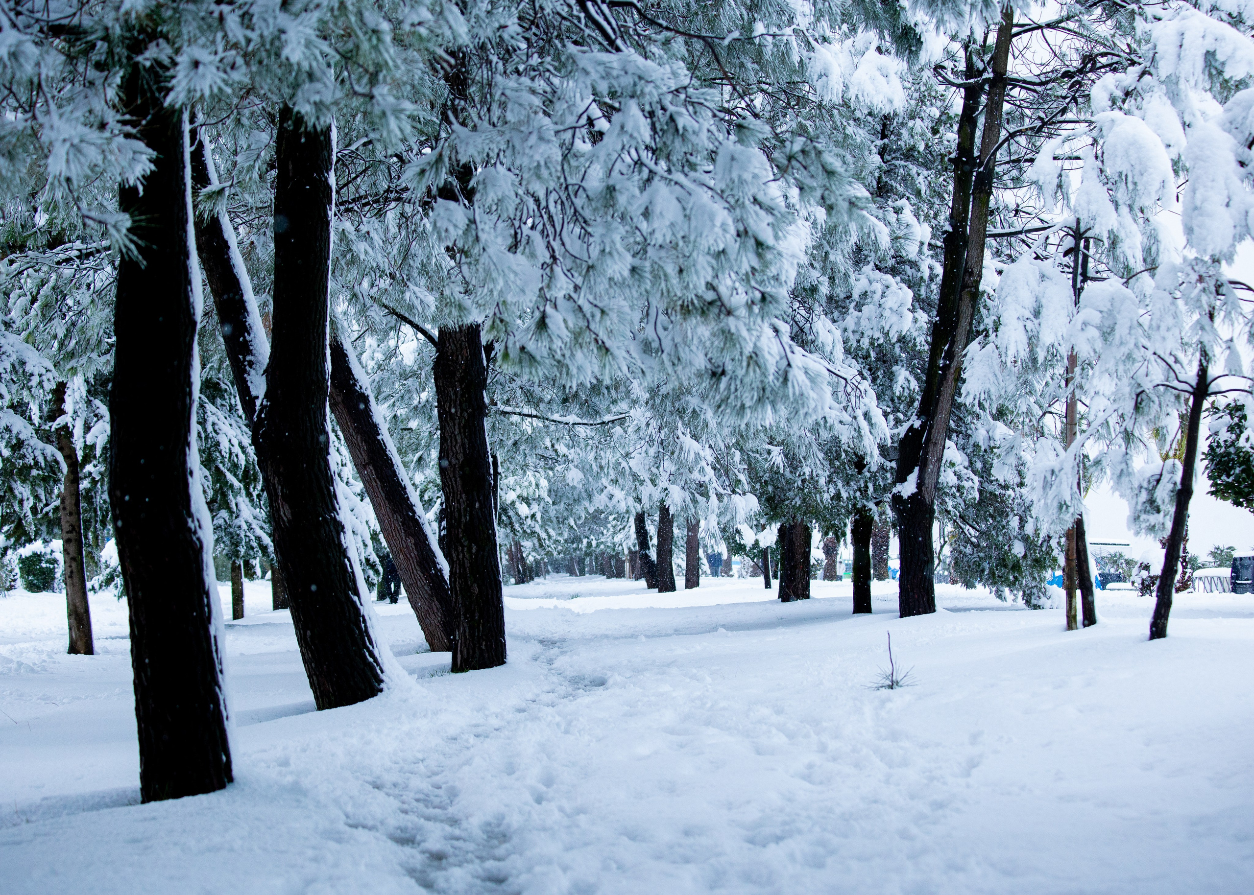 Urban. PHOTOSTORYNIKA