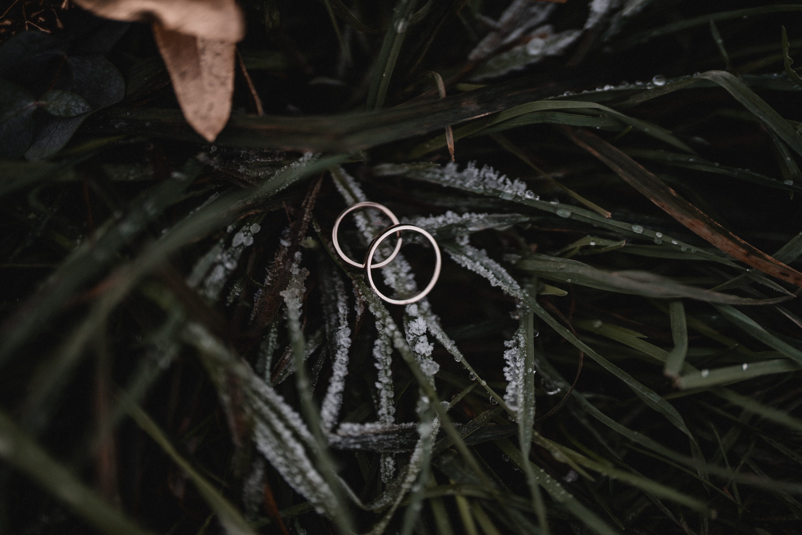 Hochzeitsfotografie |Hochzeitsfotograf Bochum | Hochzeitsfotograf Dortmund | Hochzeitsfotograf Essen | Hochzeitsfotograf Ruhrgebiet