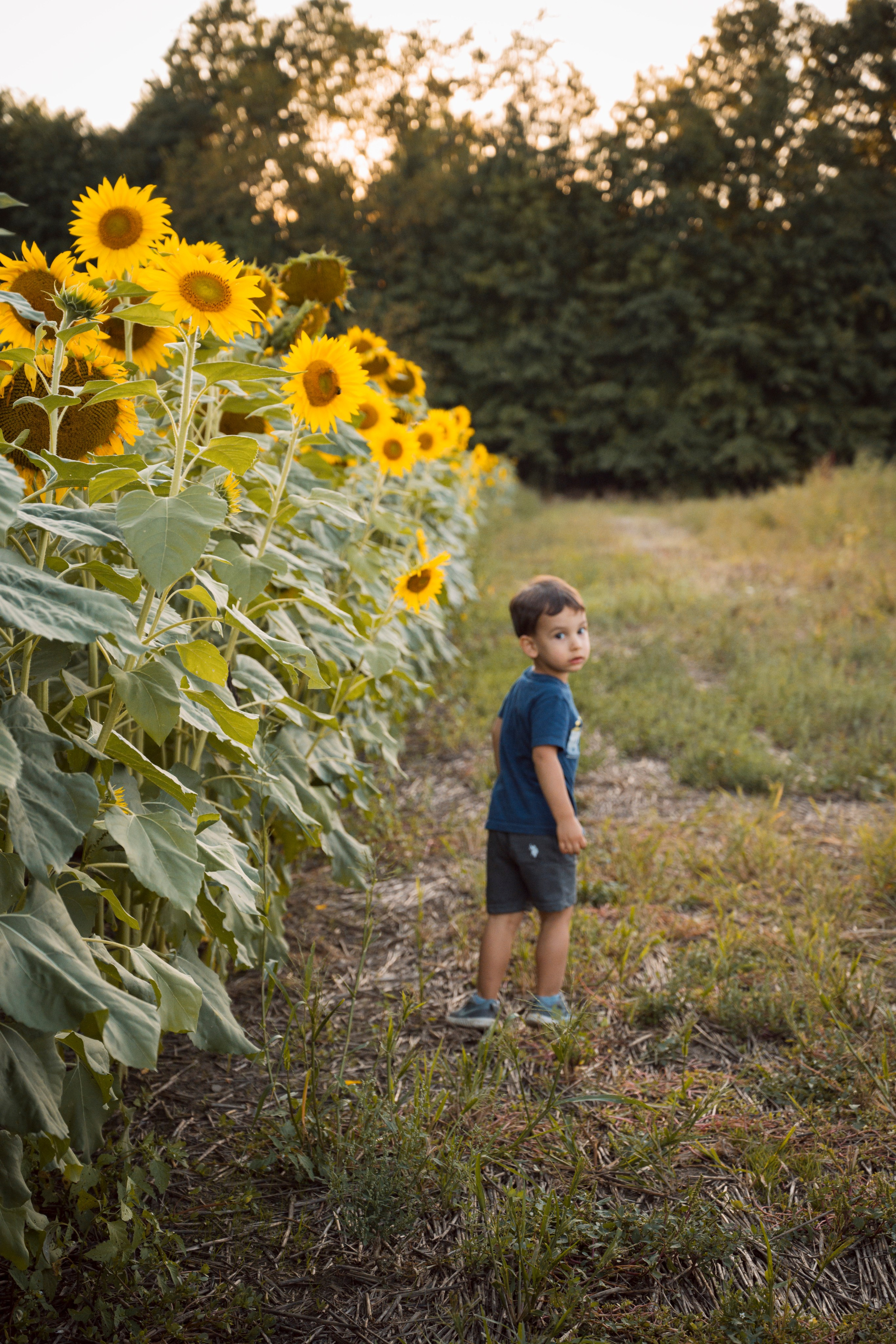 Testimonials. Family and Fine Art Photographer in Pickerington OH