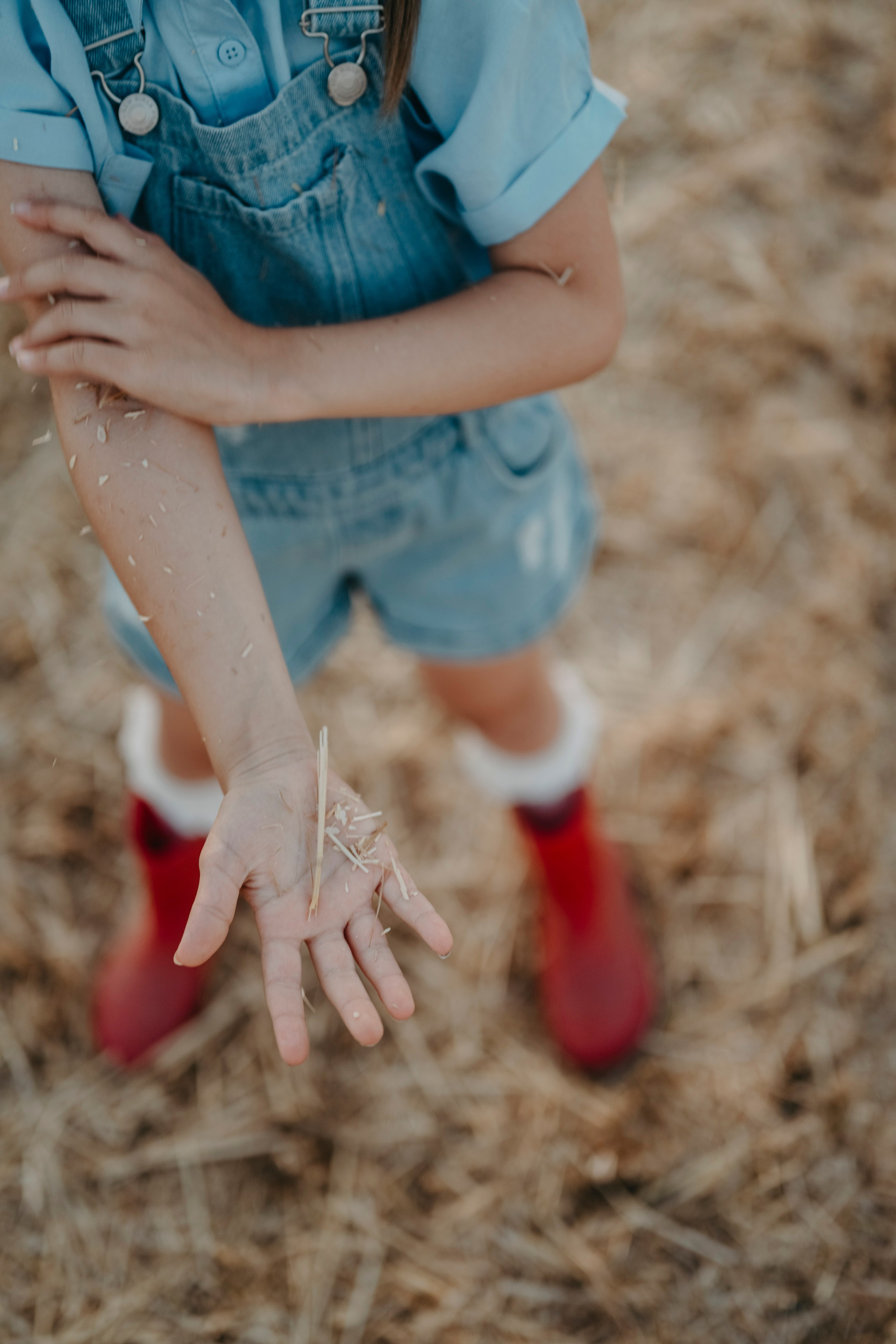 Letnje fotografisanje u polju suncokreta i sena. Deciji i porodicni fotograf u Beogradu Oksana Skendzic