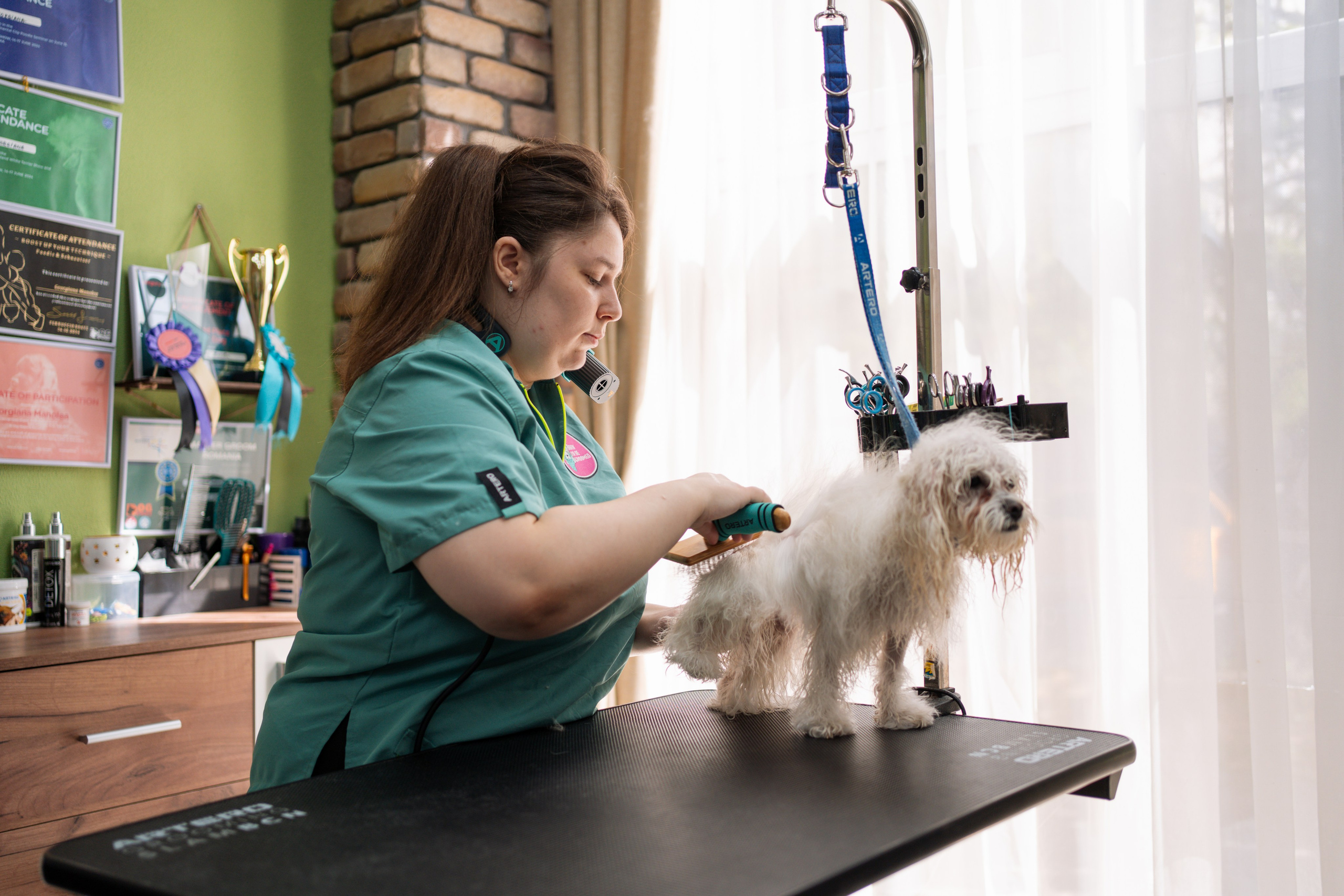PetGroom Timisoara. Cozac Cristian Photographer