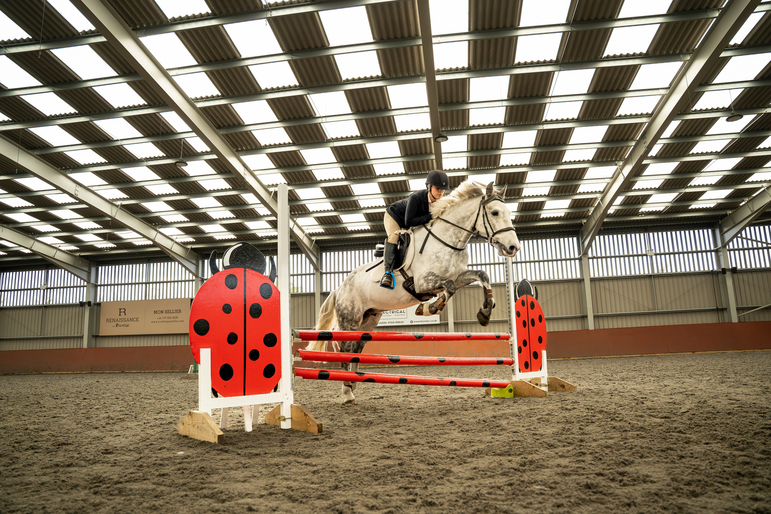 Close-up action of grey horse soaring over bright obstacle during indoor show