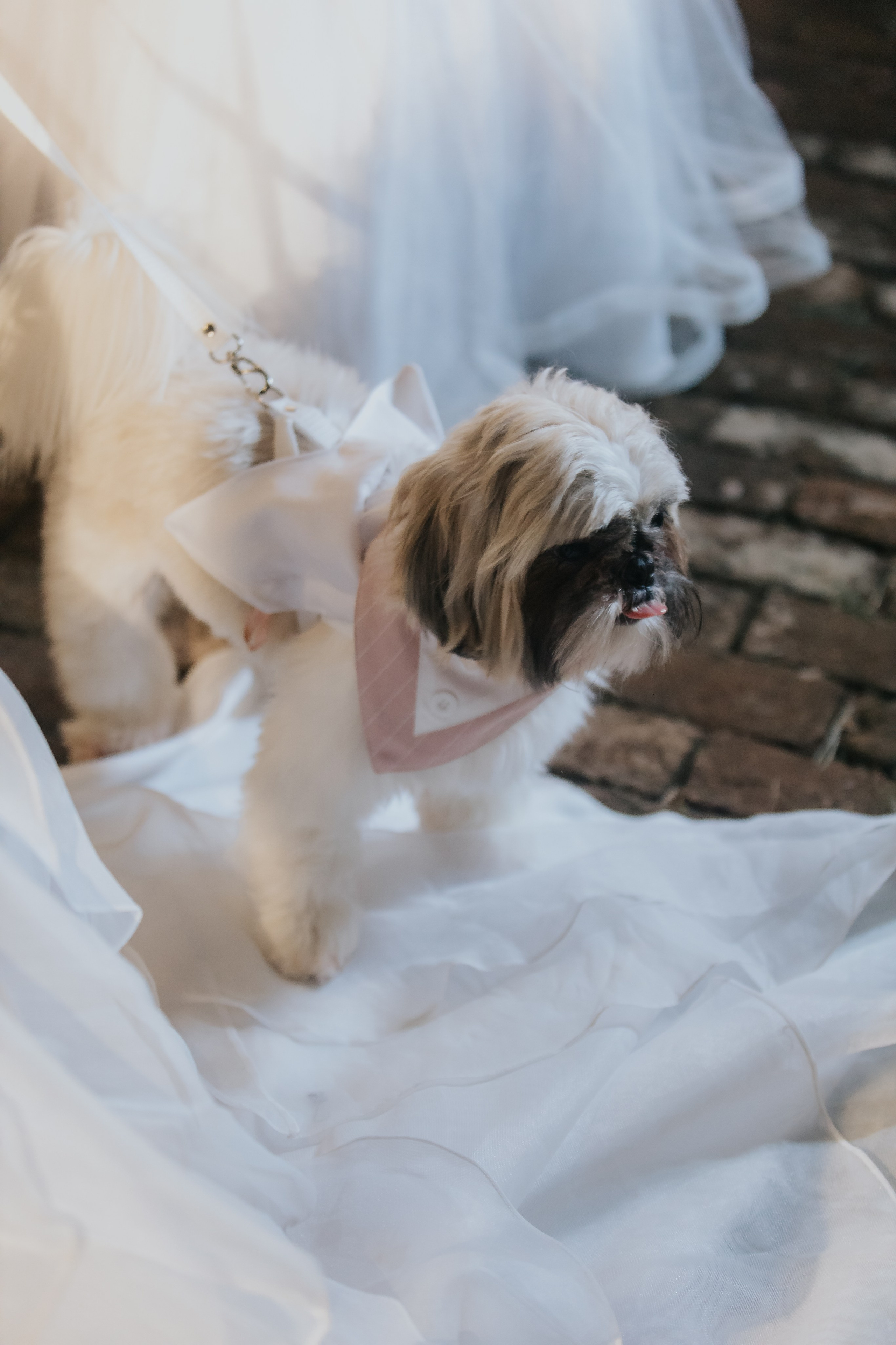 Pettúlia & Breno. Fotógrafo de Casamentos na Bahia — Richard Silvestre