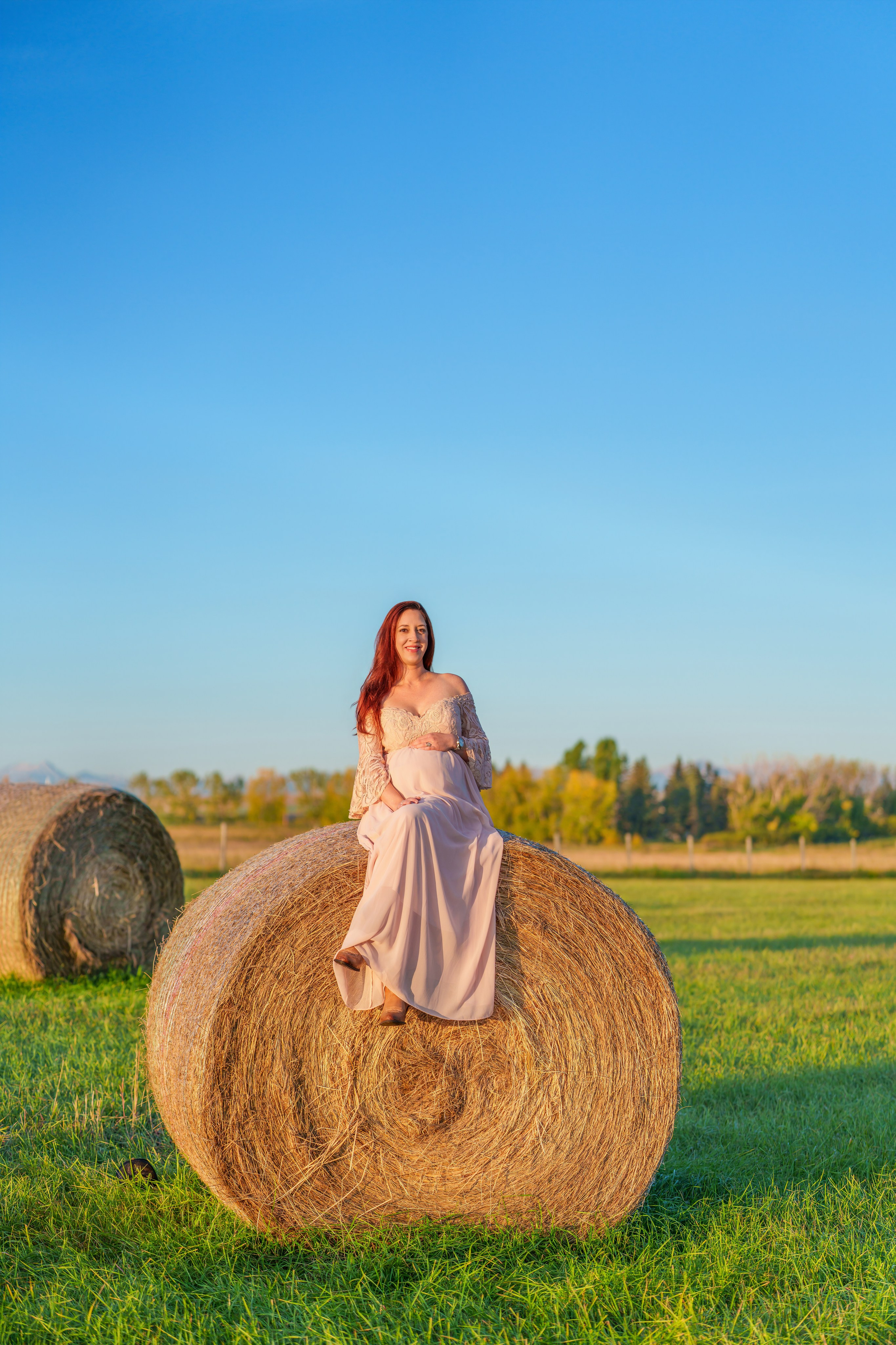Hamilton Family. Engagement, Wedding & Family Photographer in Calgary | allo Photography