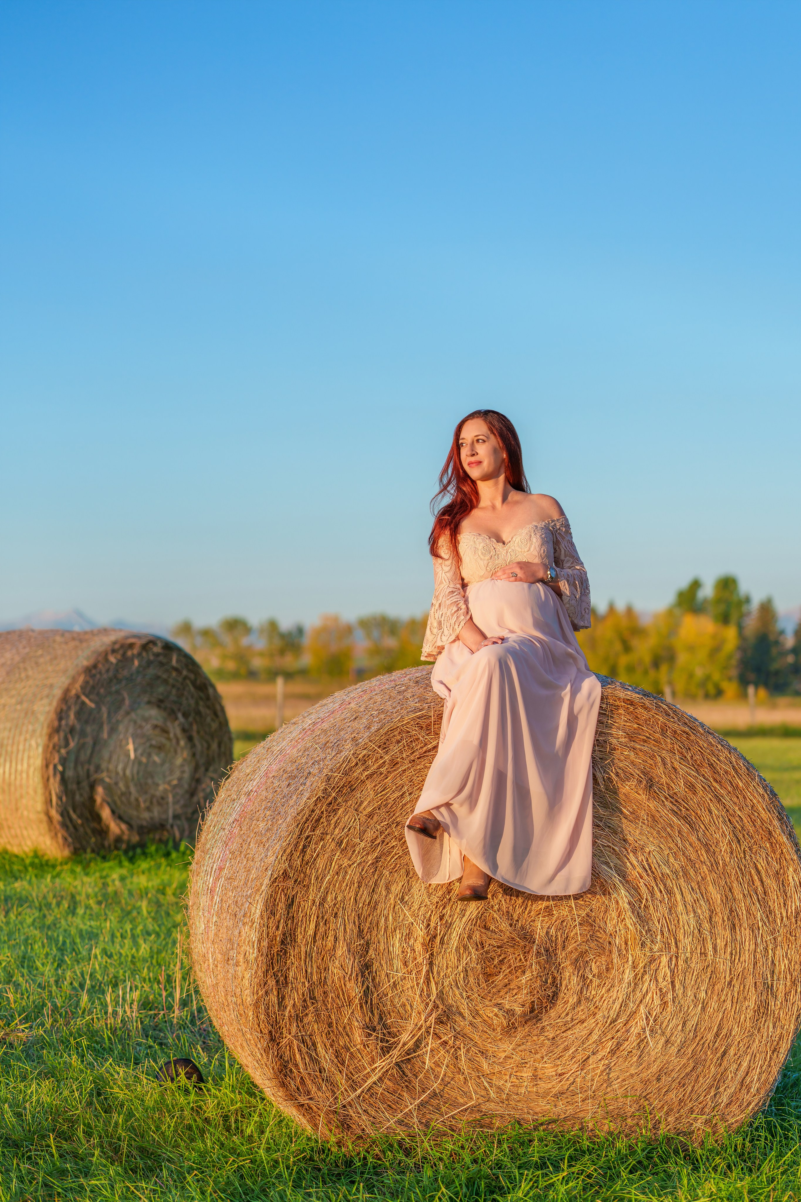 Hamilton Family. Engagement, Wedding & Family Photographer in Calgary | allo Photography