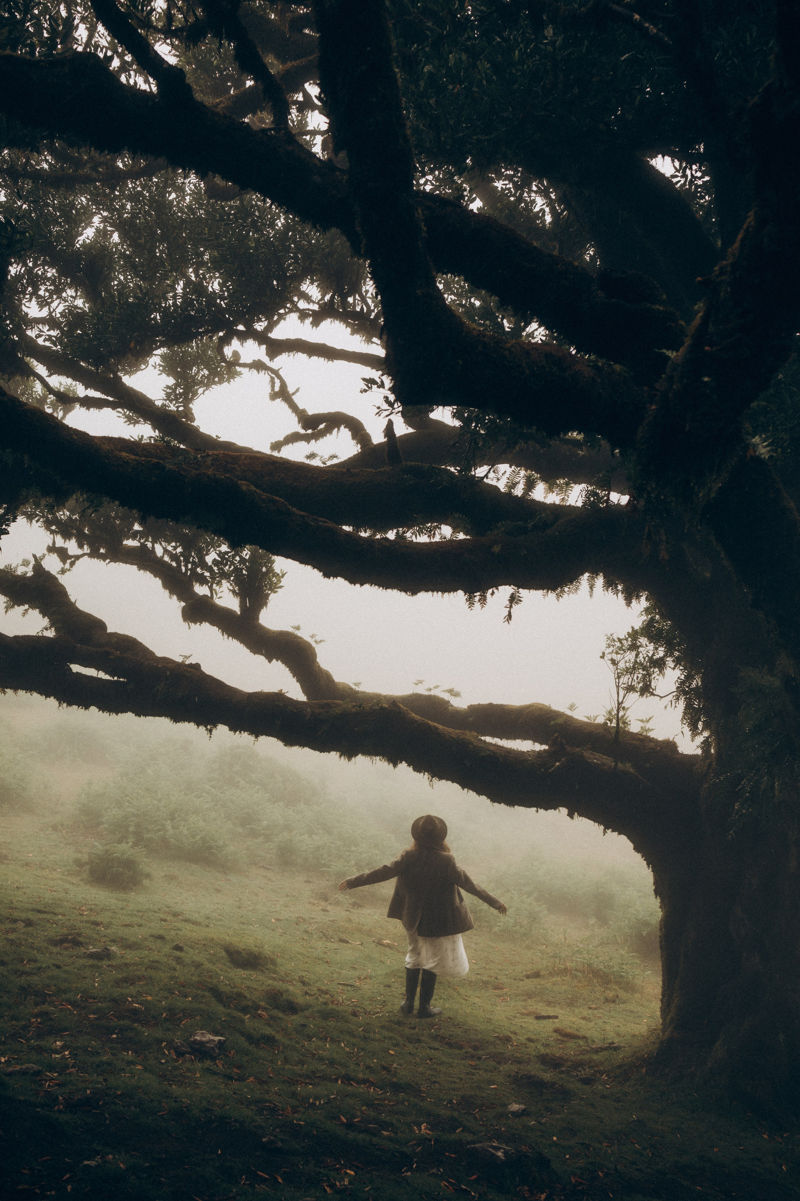 Personal. Photographer Madeira