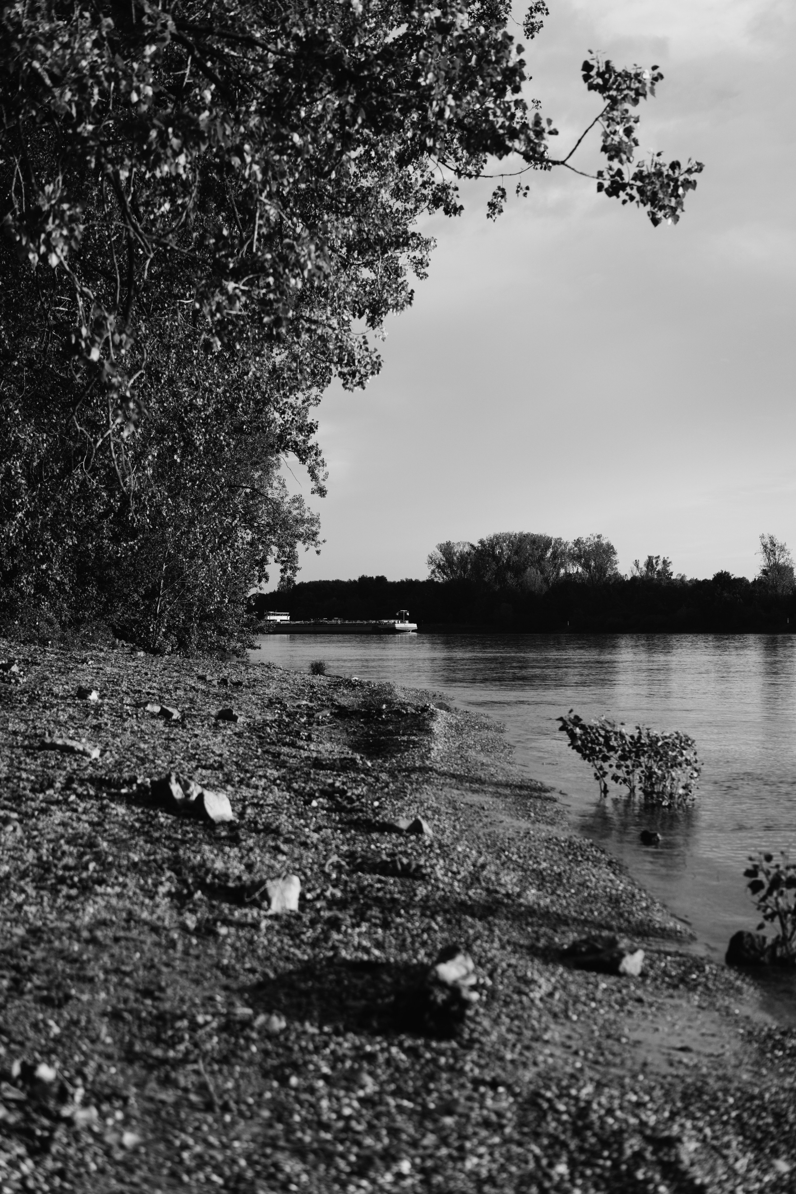 Вера 40. Frenkel Nadja Fotograf in Darmstadt|Frankfurt|Wiesbaden