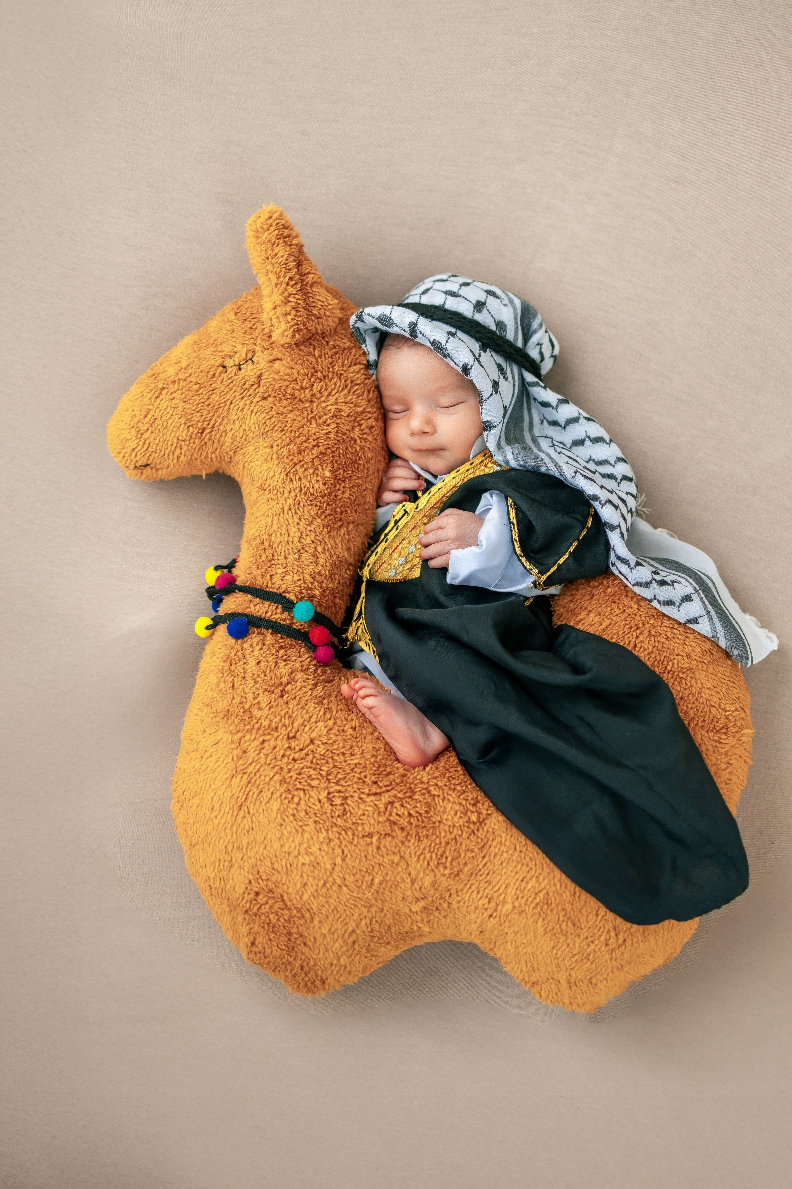 Newborn. Anaeliseevaphoto.com