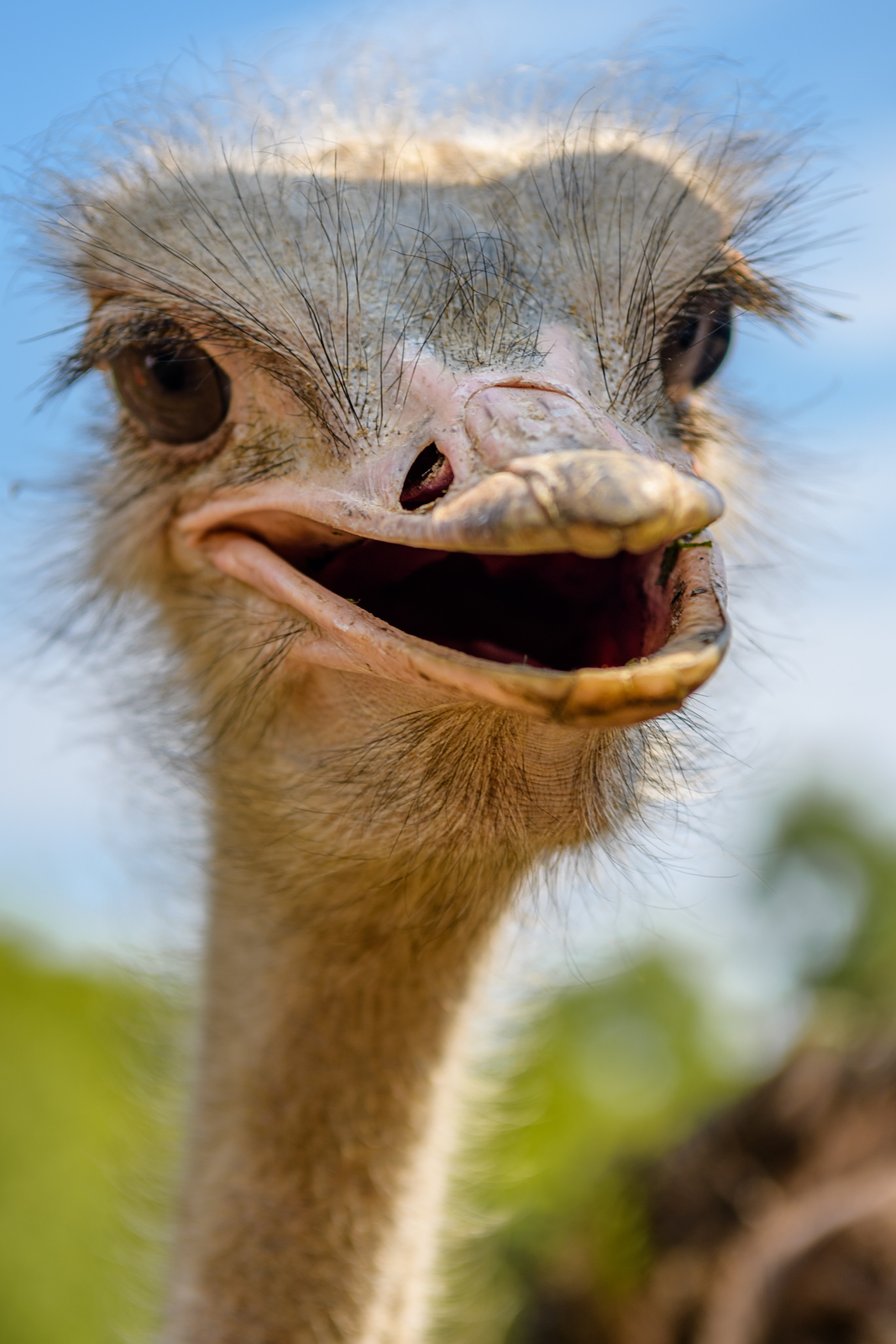 Фотографии с разных съёмок. Детская, школьная фотография