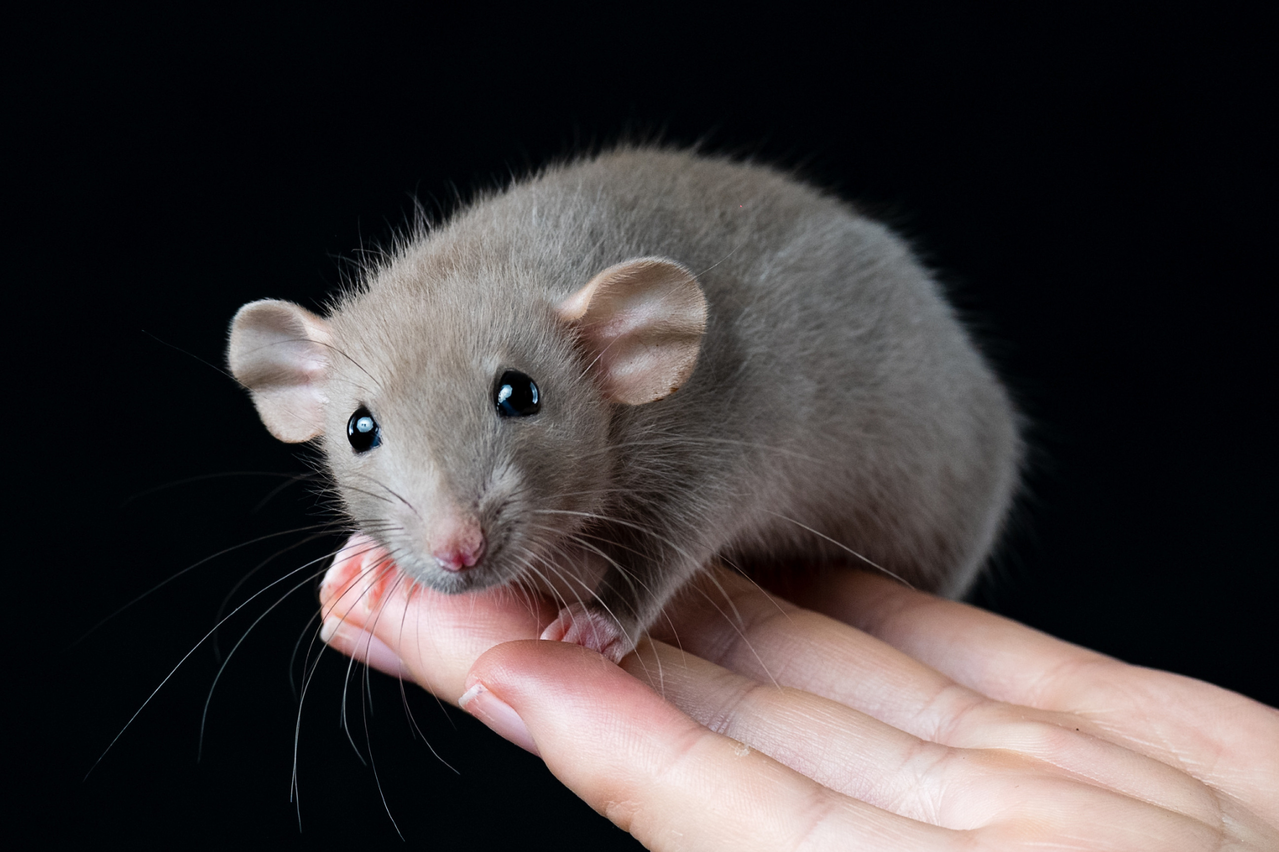 Фотографии с разных съёмок. Детская, школьная фотография