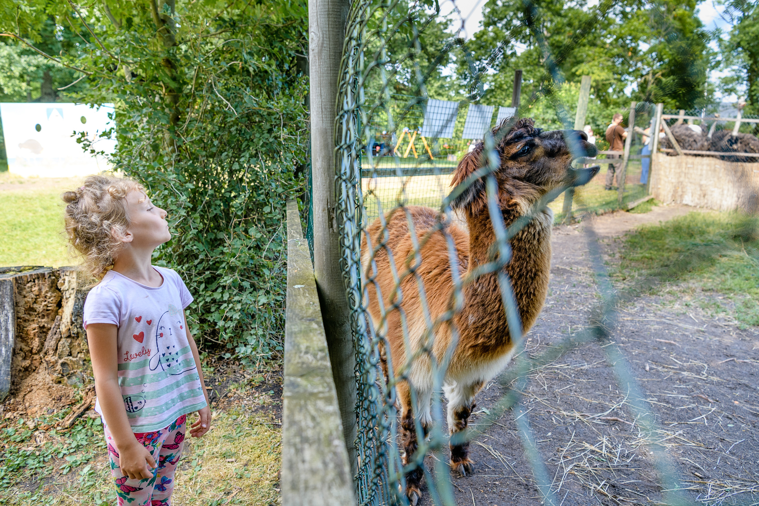 Фотографии с разных съёмок. Детская, школьная фотография