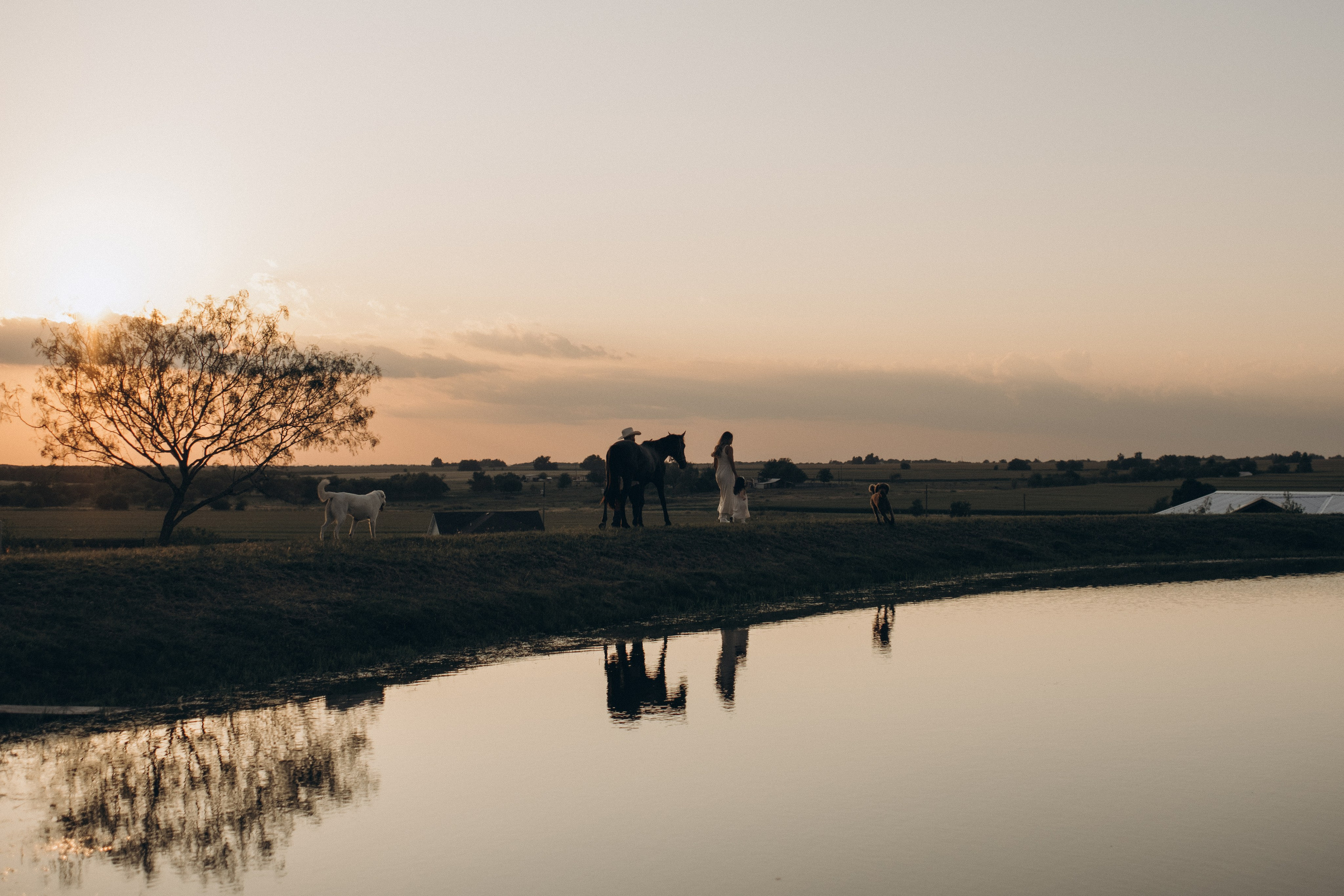 Farm Story. Lens Captures Life