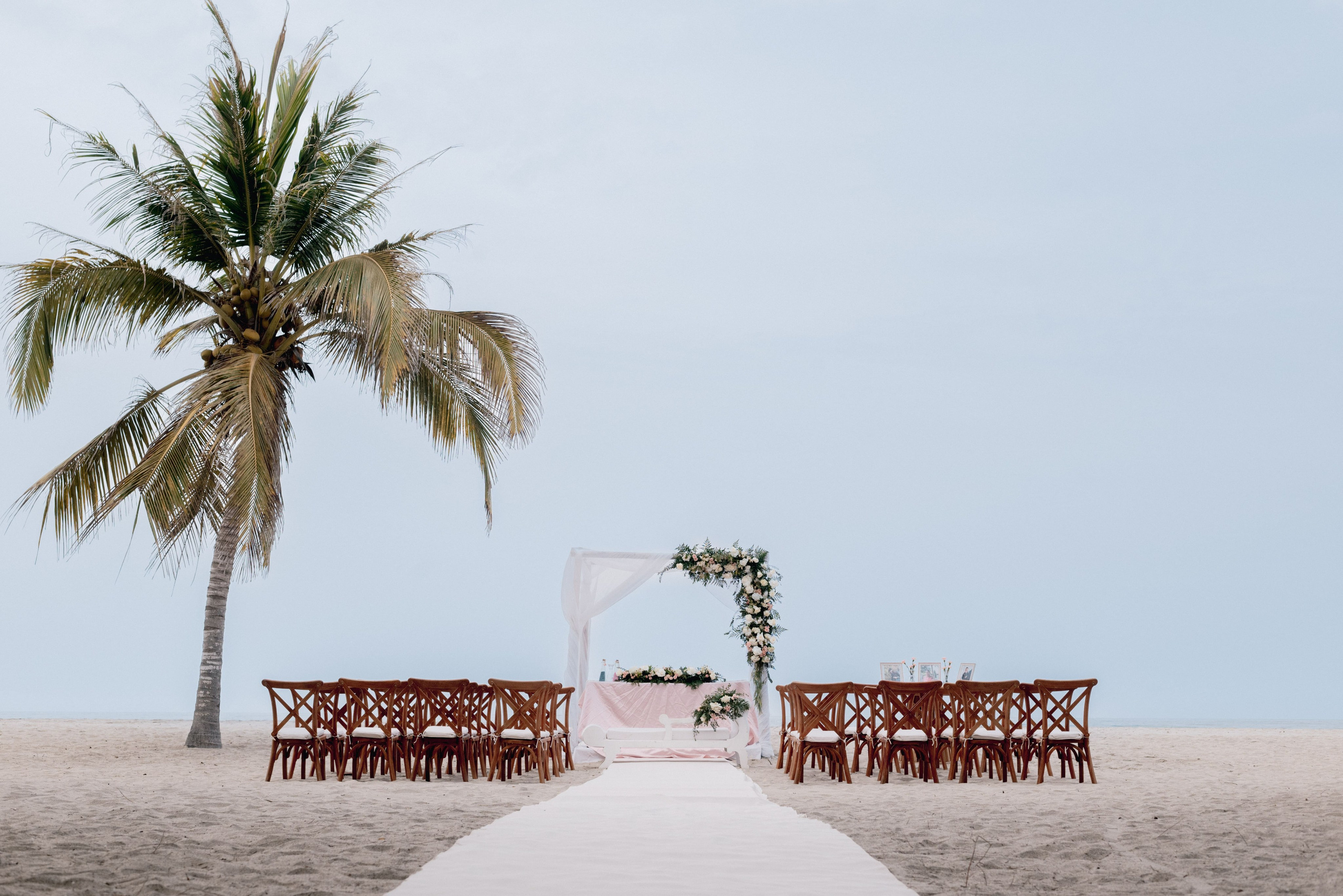 Paisaje con palmera en Playa Mareygua Santa Marta, ambiente tropical para ceremonia de boda