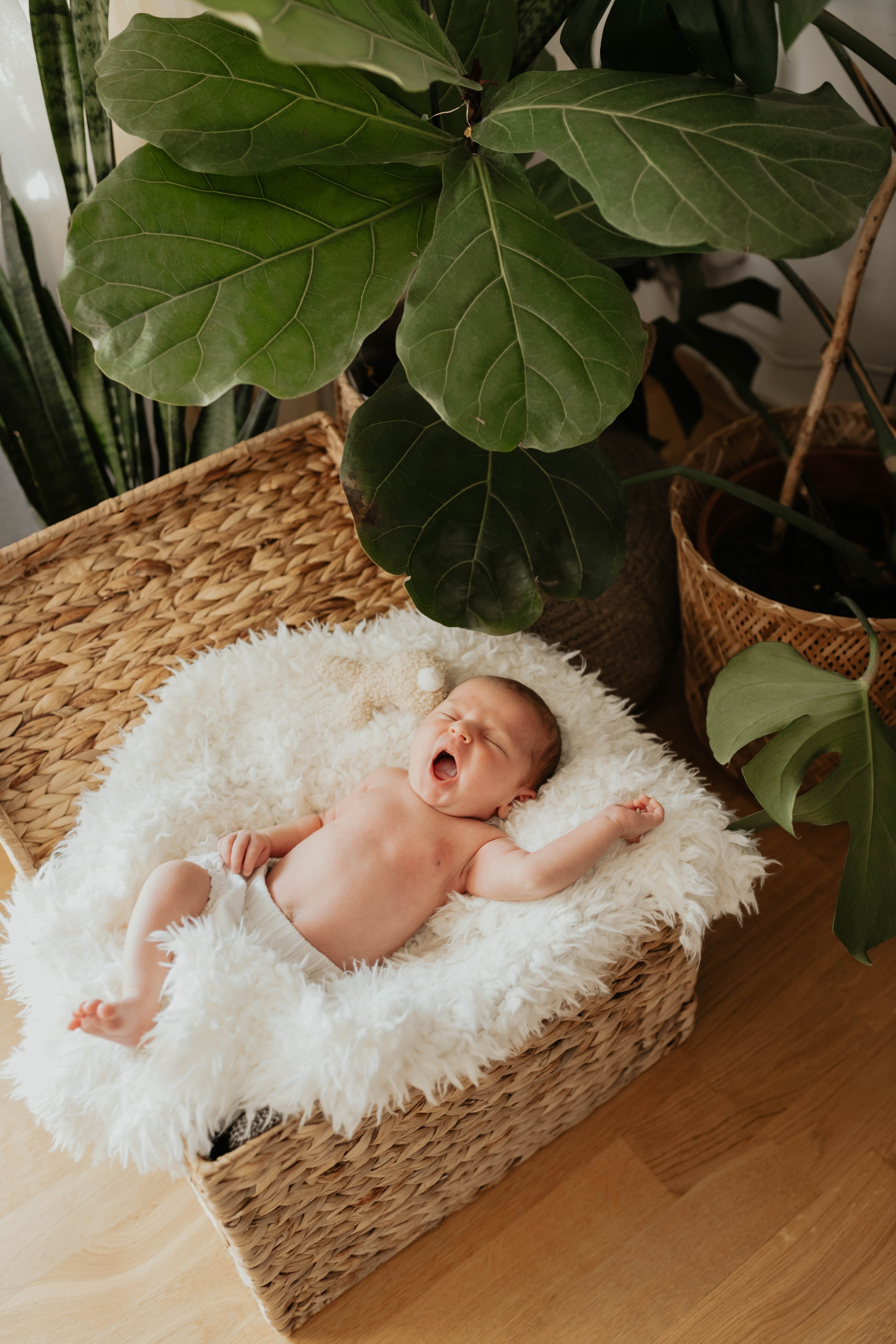 Newborn. Familien- und Kinderfotografin Katerina Vlasenko, München