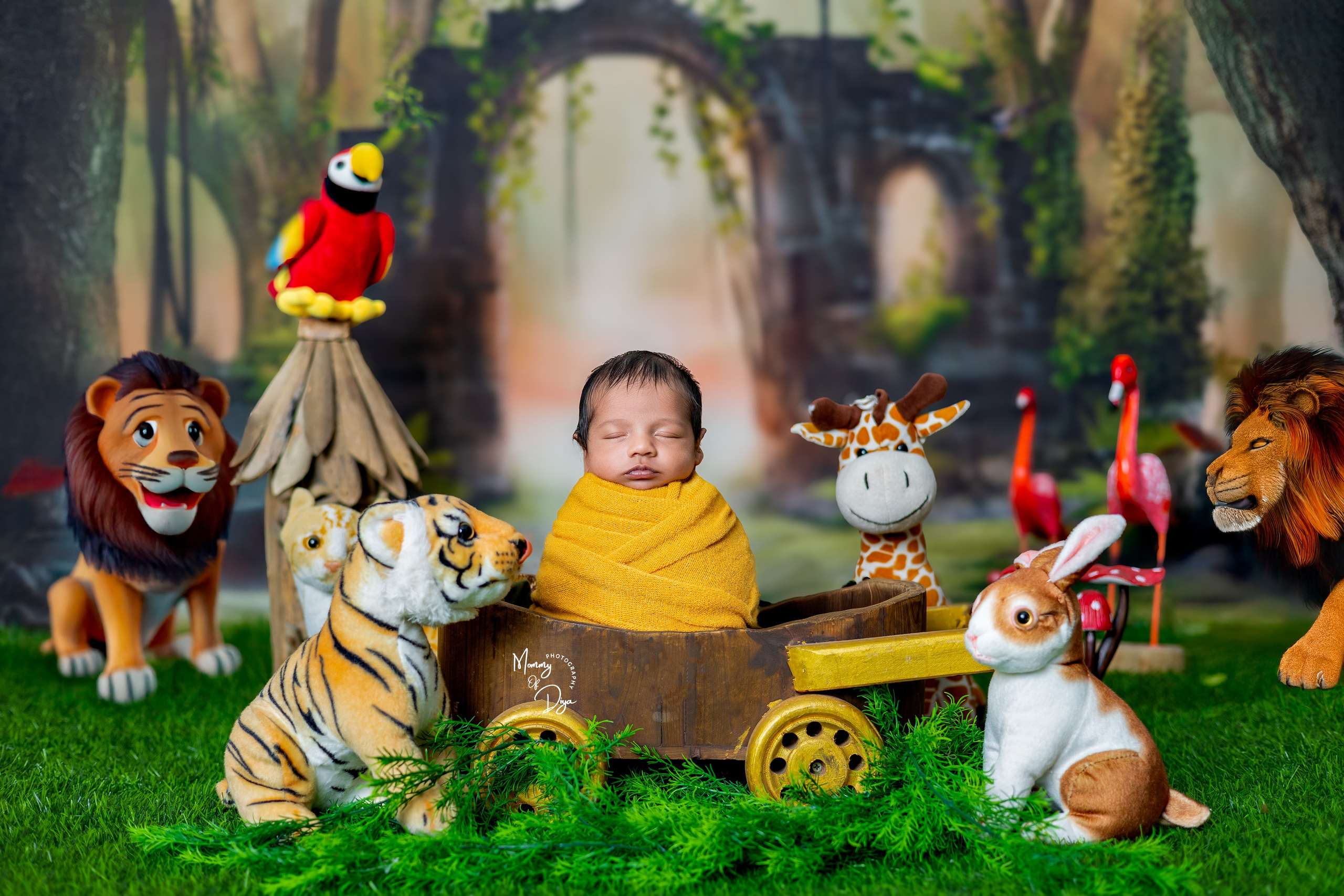 Newborn Photoshoot. Mommy Of Diya Photography