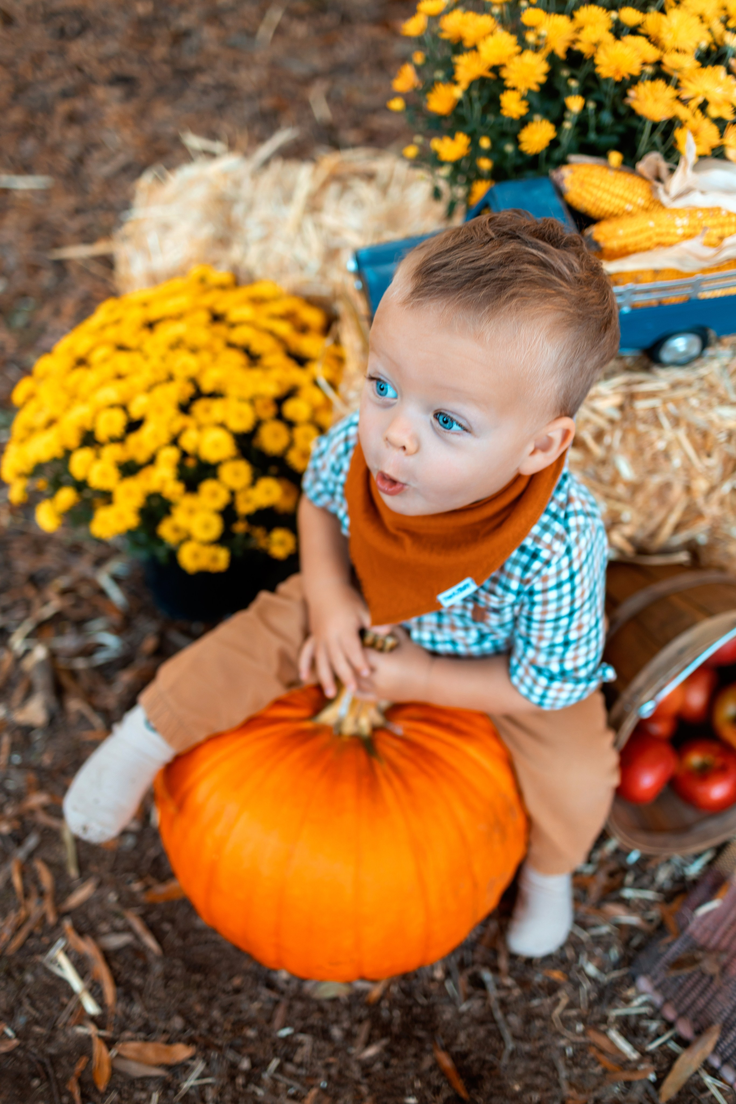 Fall photo day. Anaeliseevaphoto.com