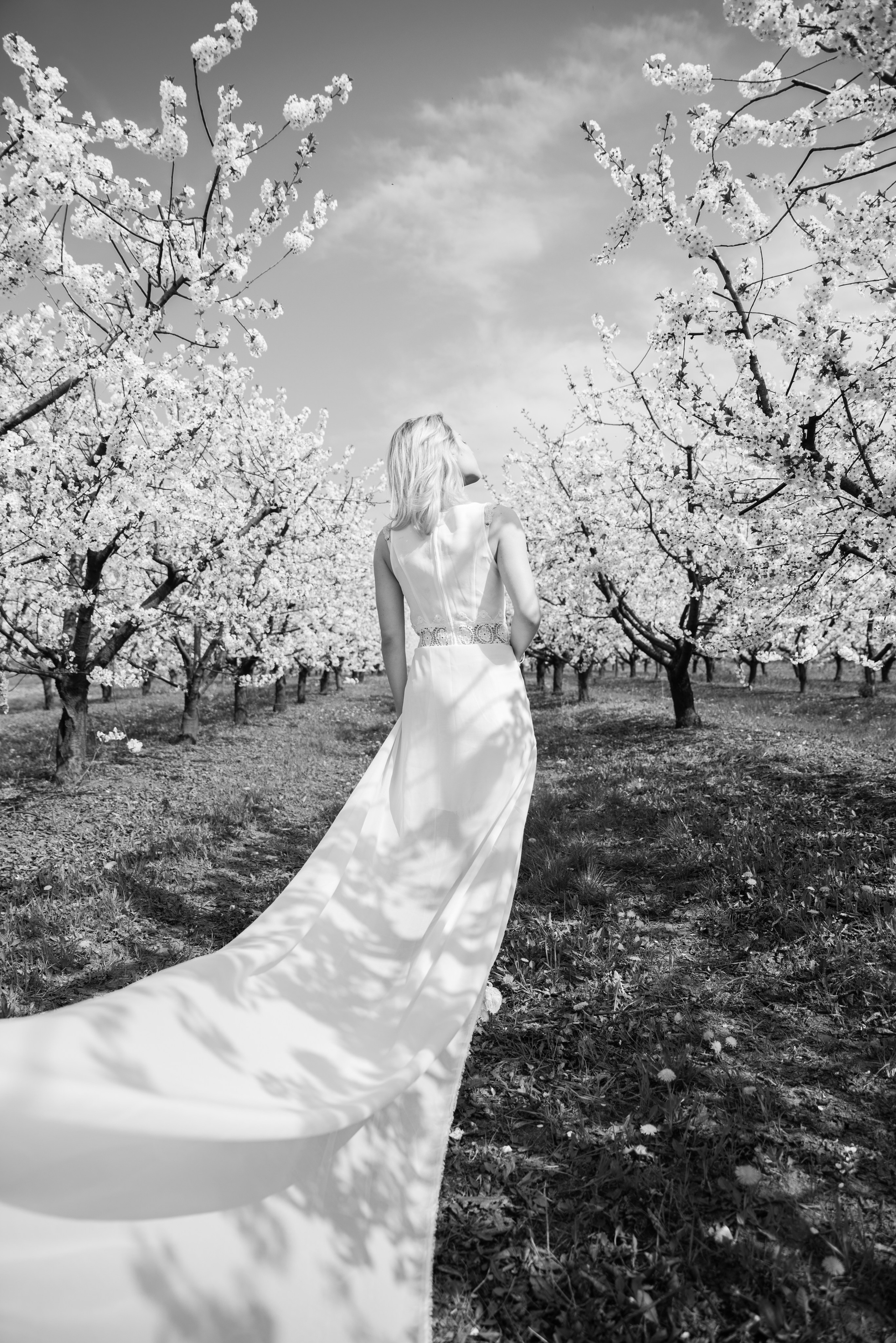 Подарочный сертификат (1). Ekaterina Verbitskaya. Photography