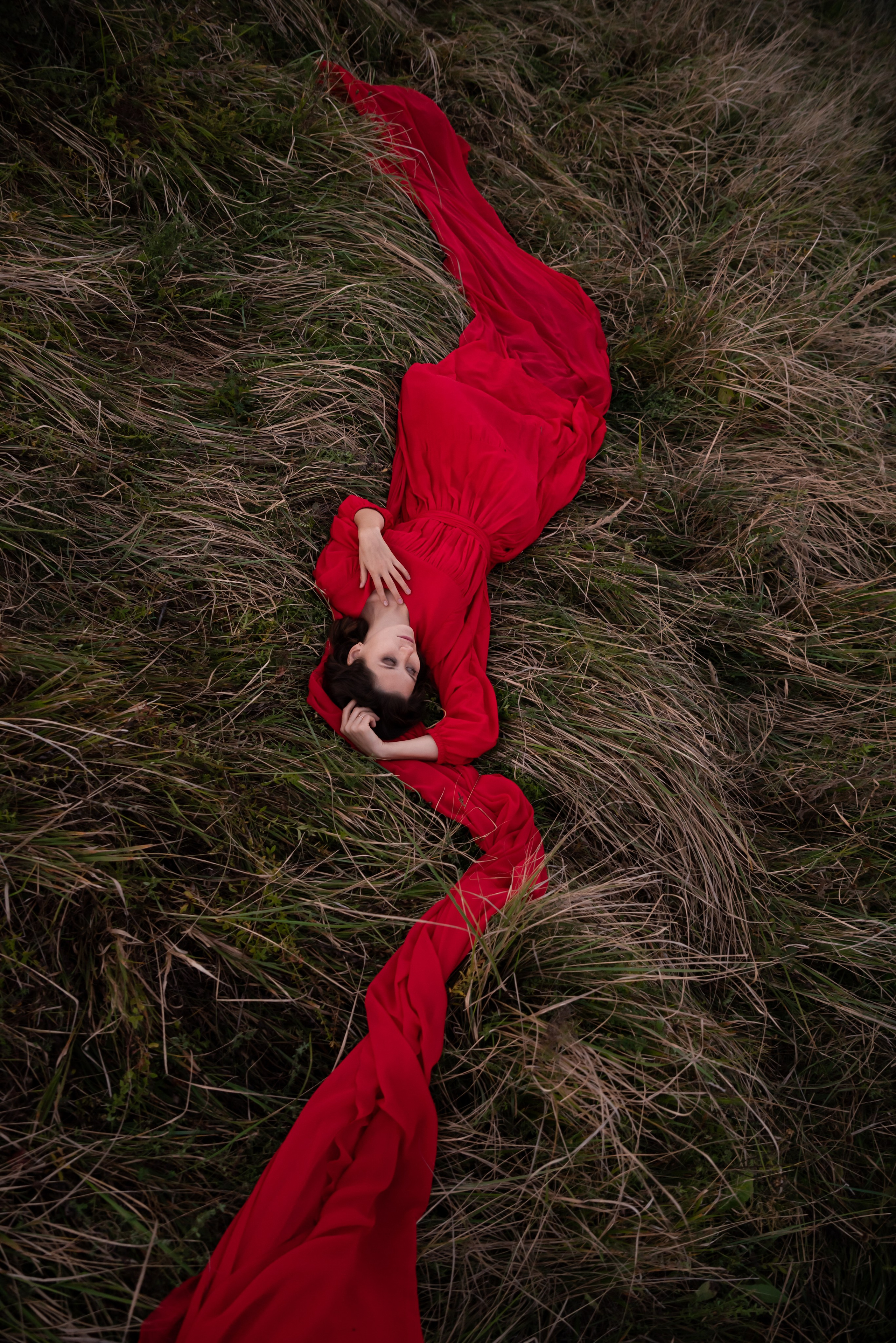 Подарочный сертификат (1). Ekaterina Verbitskaya. Photography