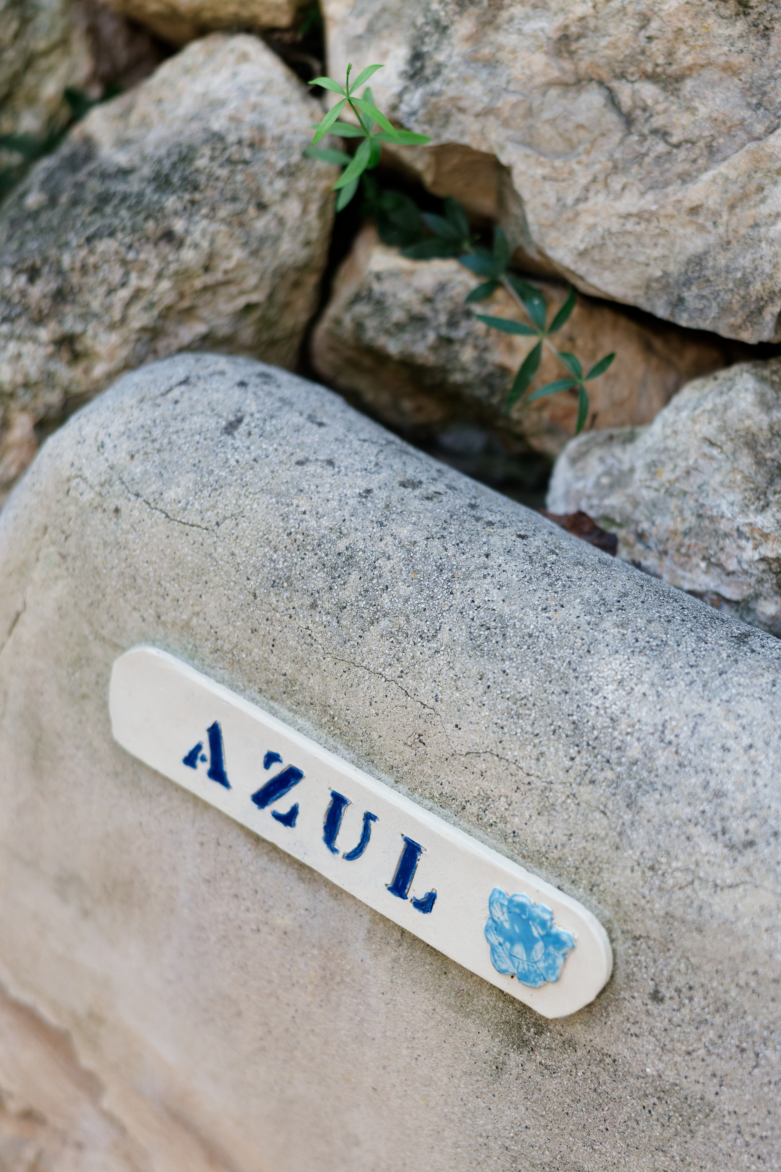 Haldi Ceremony & Mehndi Night & pre-wedding dinner, Barcelona