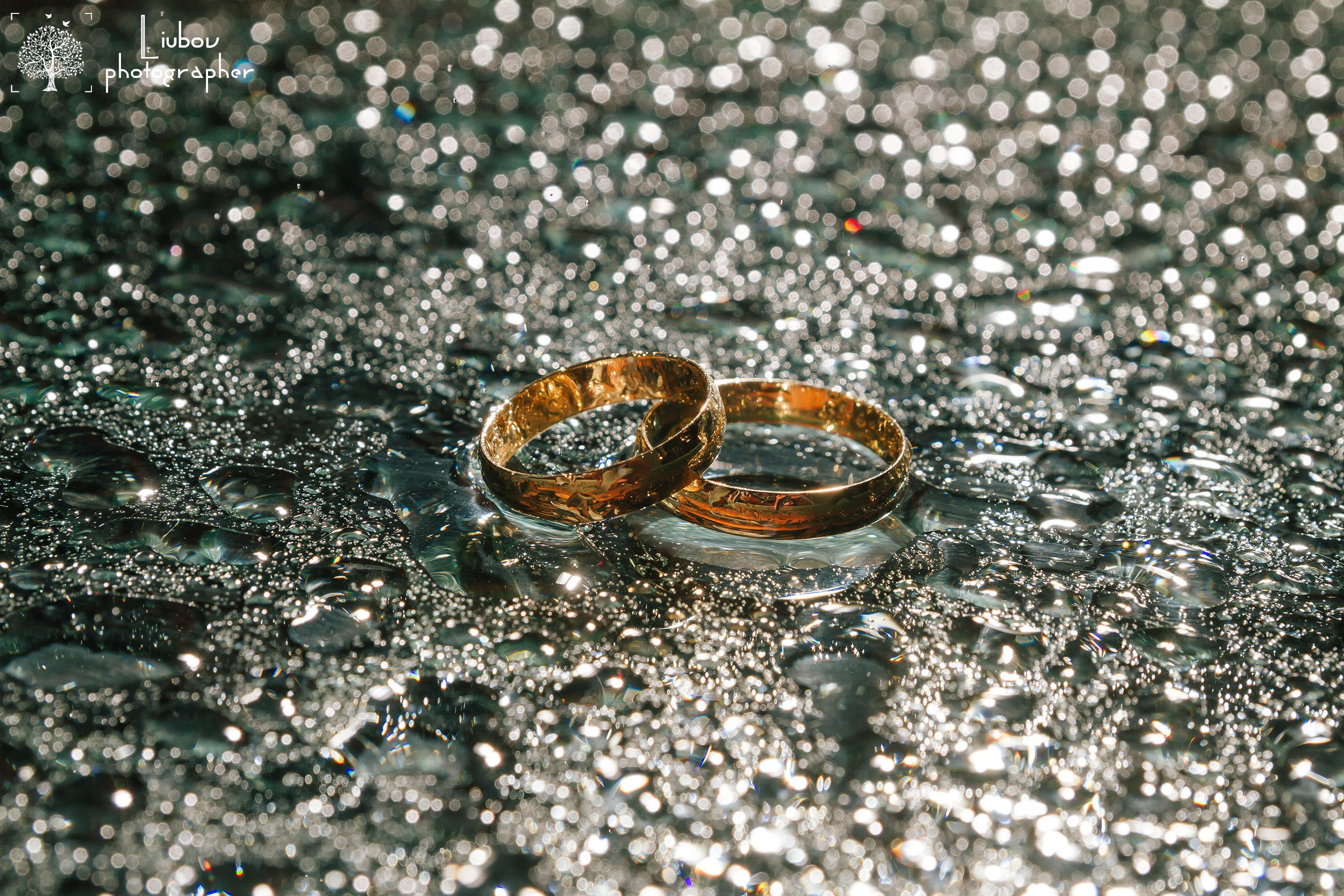 Свадебные фотографии. Свадебное фото и видео в городе Плзень. Александр Ерёменко и Любовь Роман