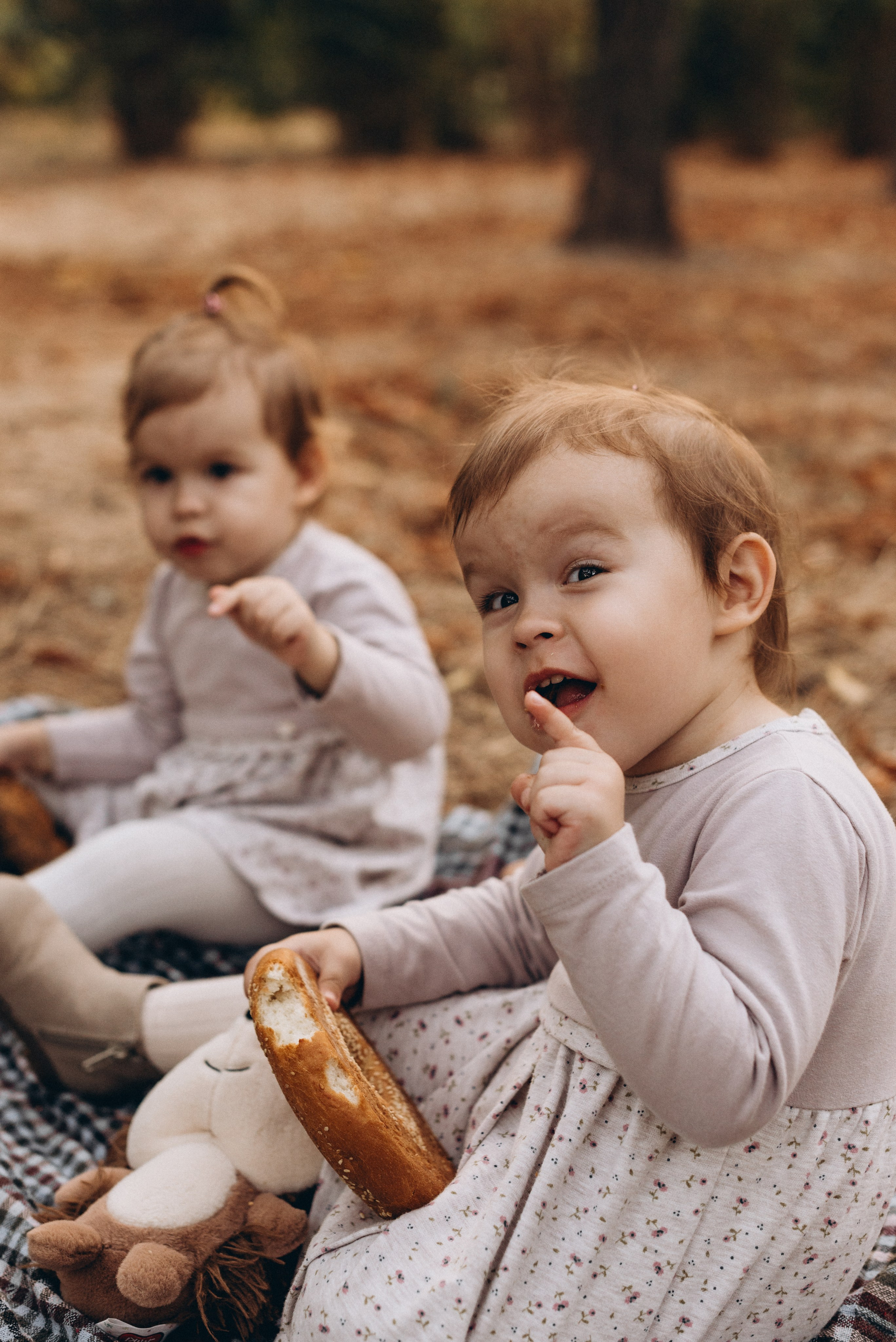 *. Wedding and family photographer San Diego