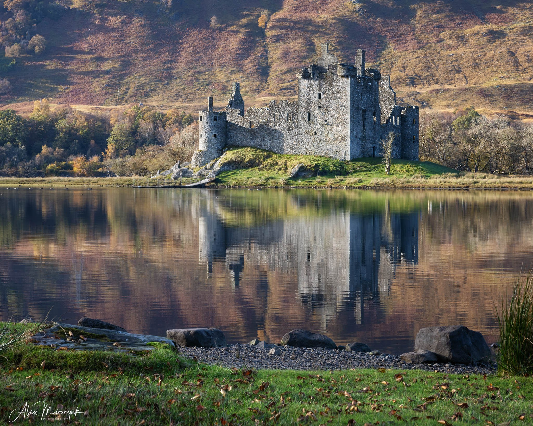 Scotland’s Highlands. Pet, Senior, Landscape, portrait studio, photographer in Miami and Sou