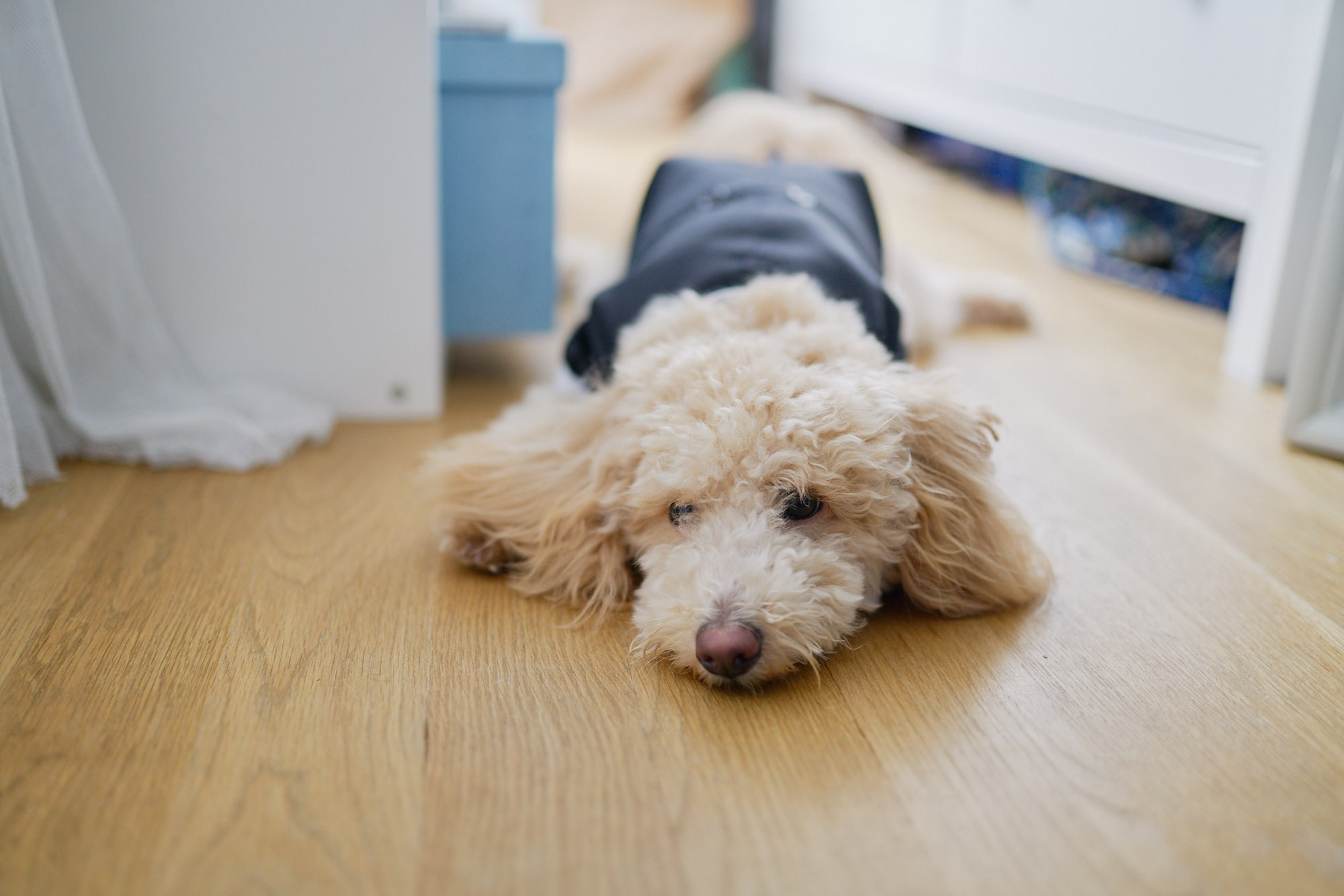 Kate & Joe, Brooklyn, NY. Alex Pedan photography