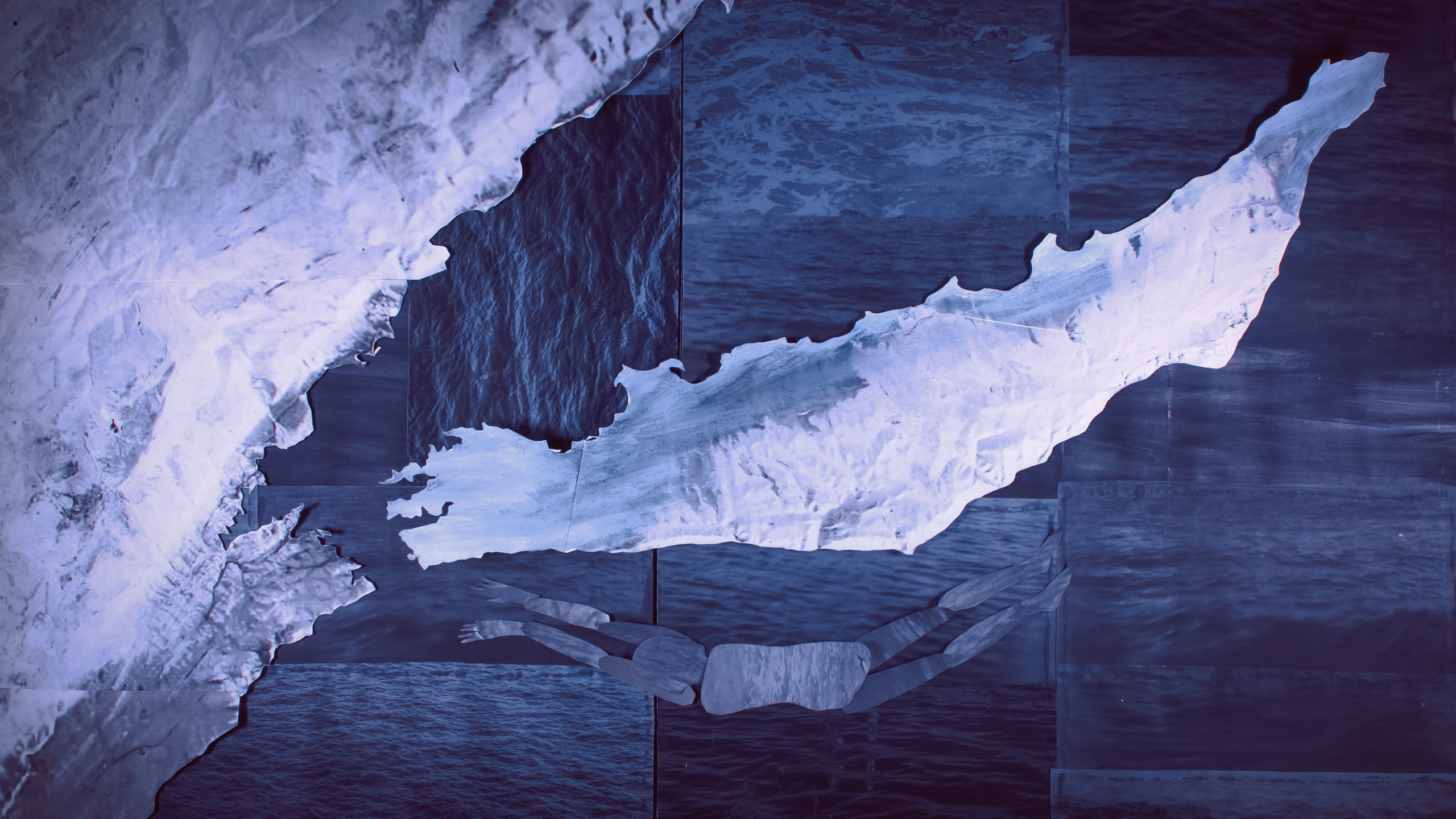 Animations. Artist, photographer, graphic designer, dreamer