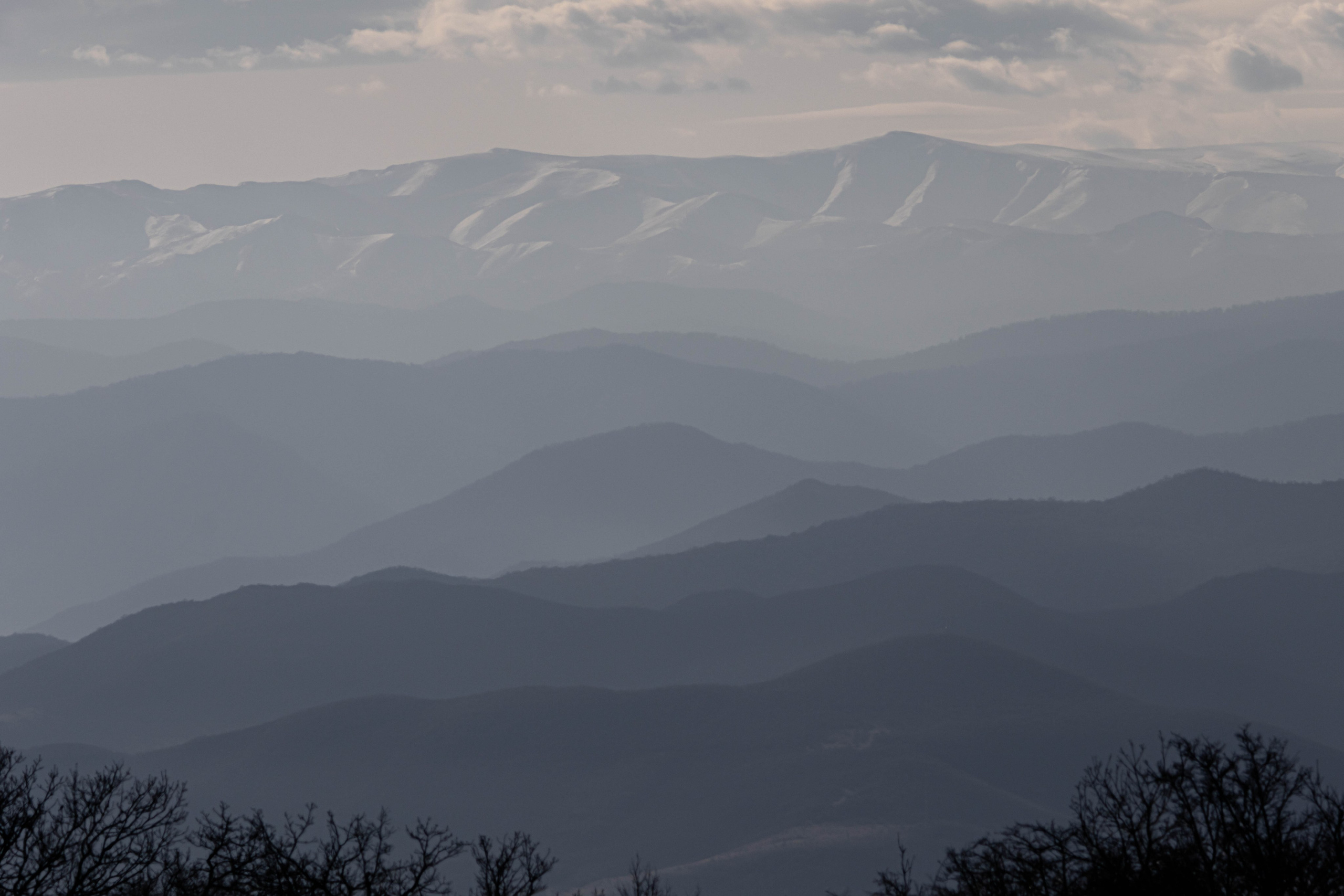 ბუნება. FramefreeMan