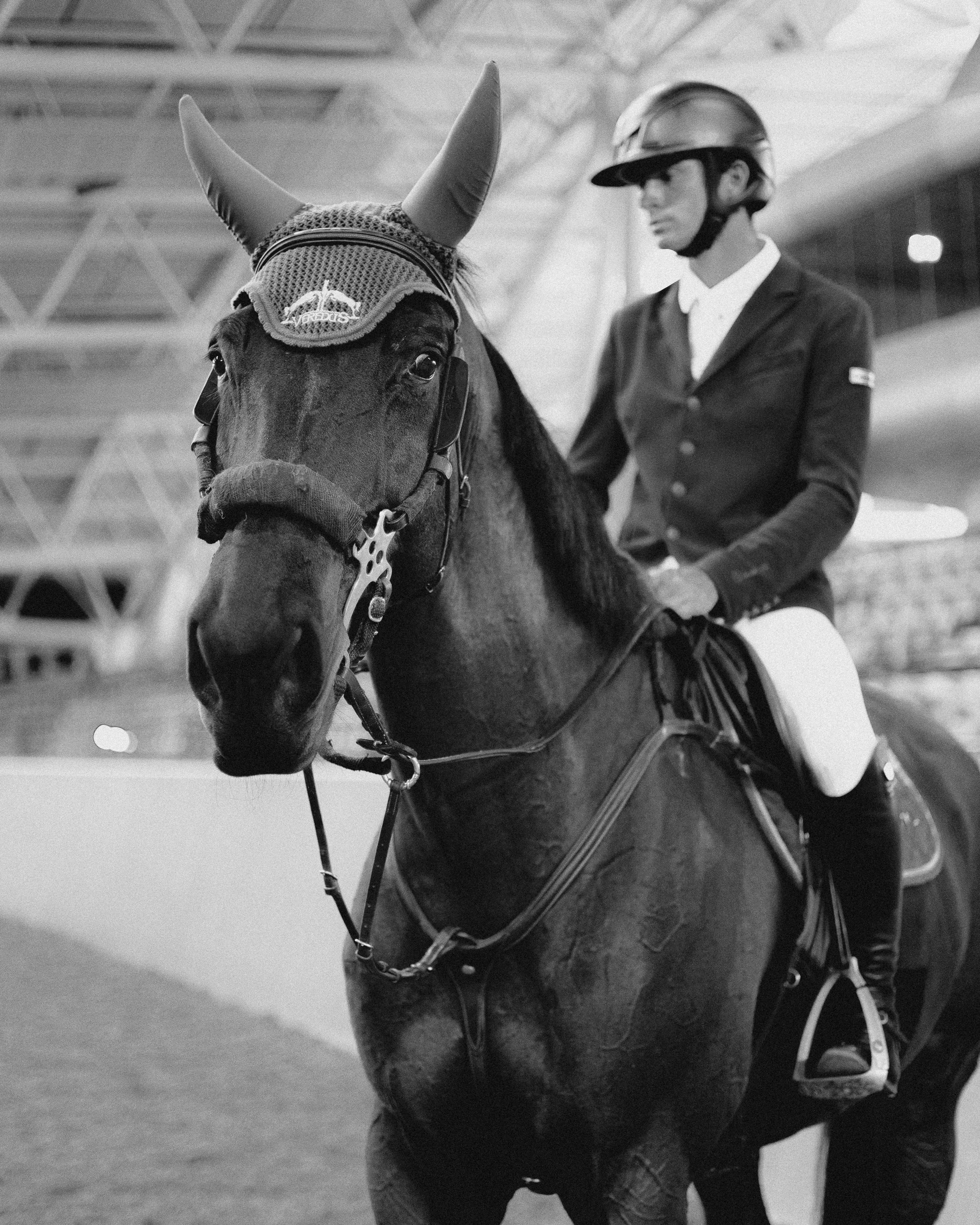 Antoine Ermann. Regina Turbin — official website