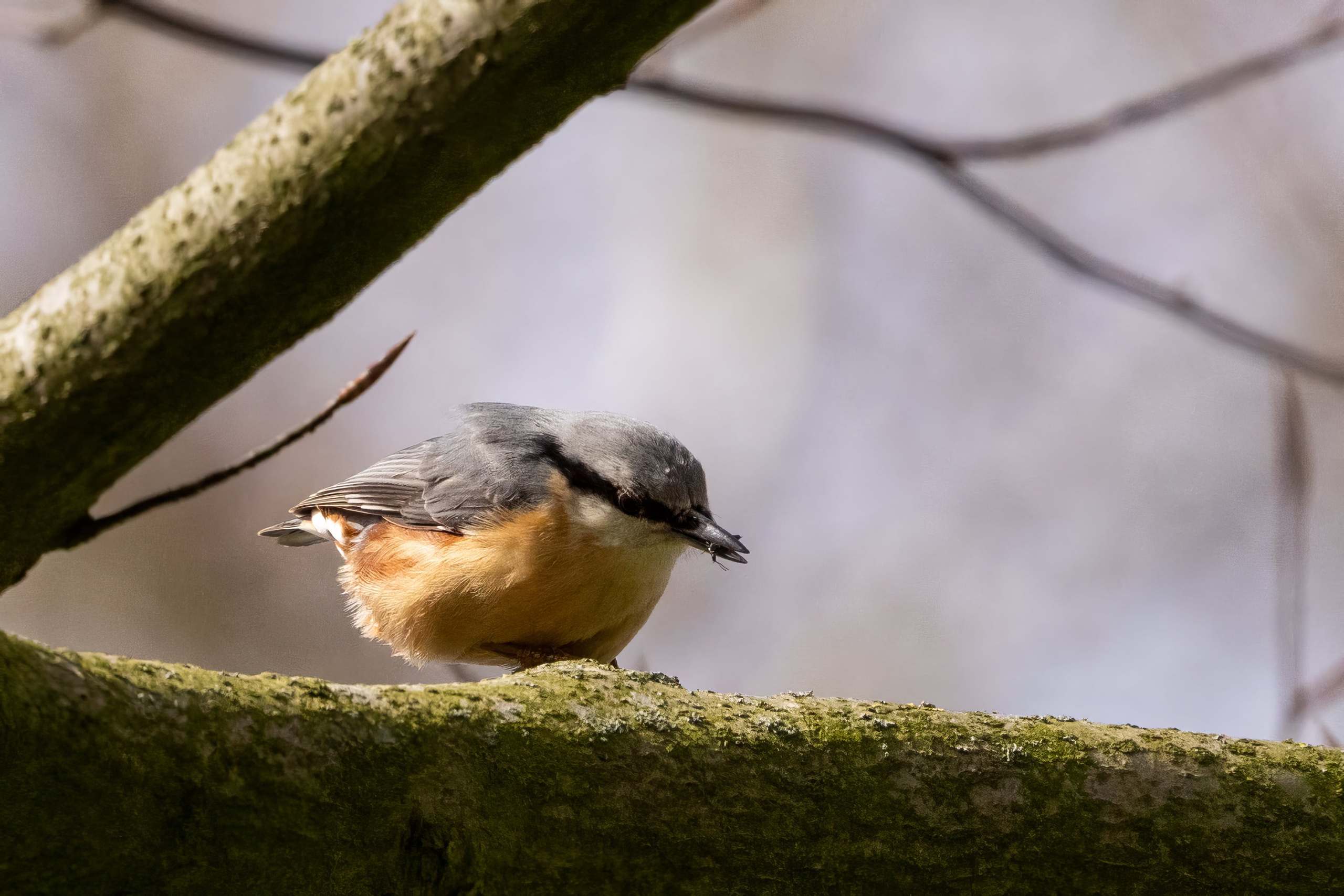 Forår. Fotograf Aarhus | Portrætfoto Århus | Flotte billeder