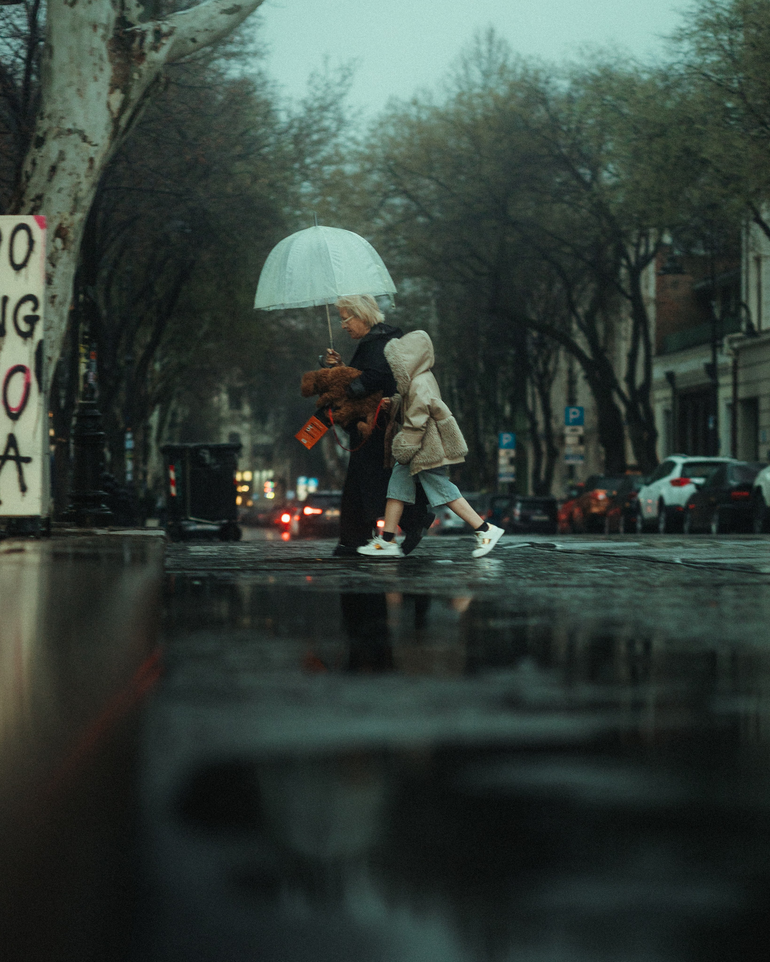 T B I L I S I 2025. Bspander