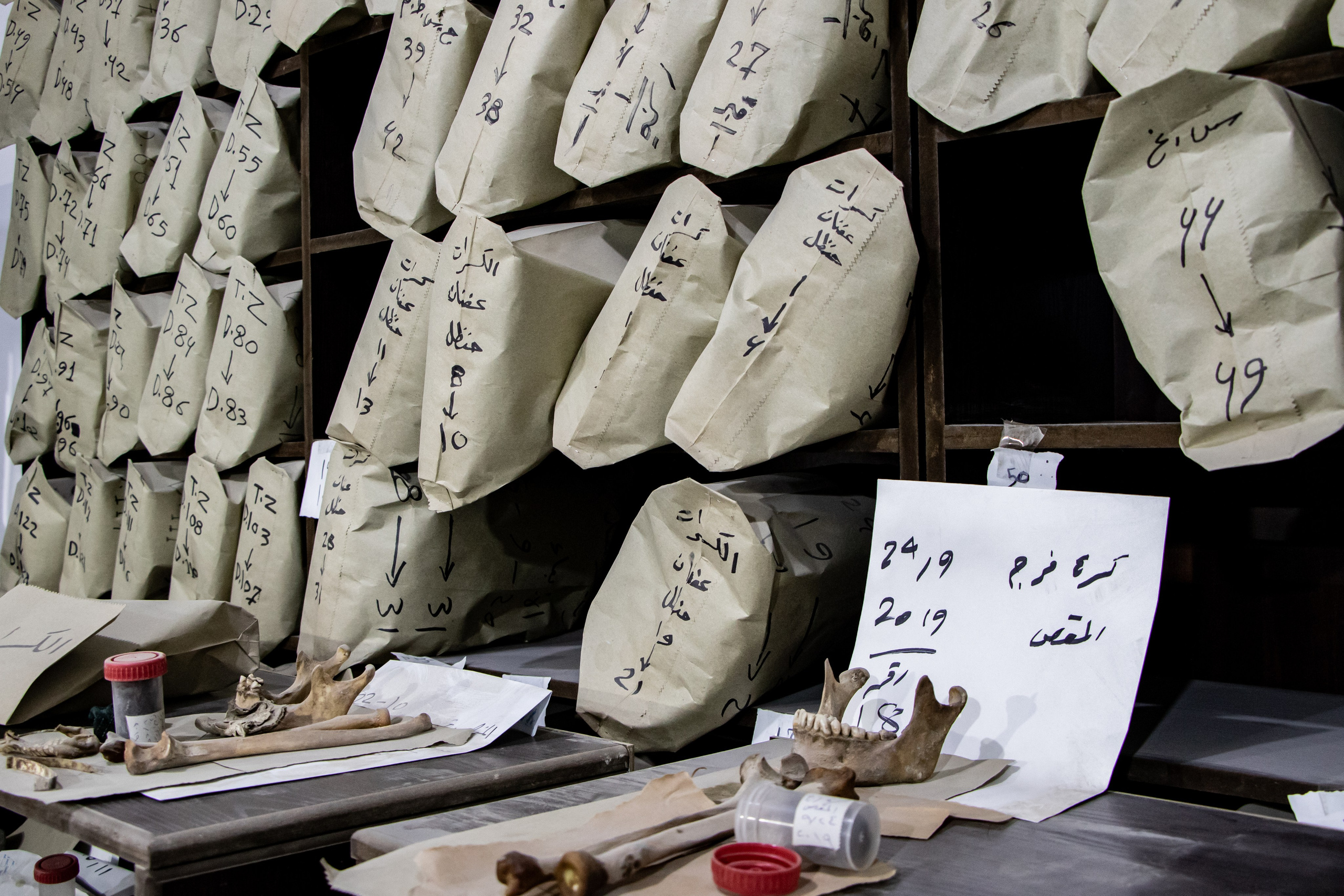 Ossements retrouvés dans les fosses communes de Daesh.