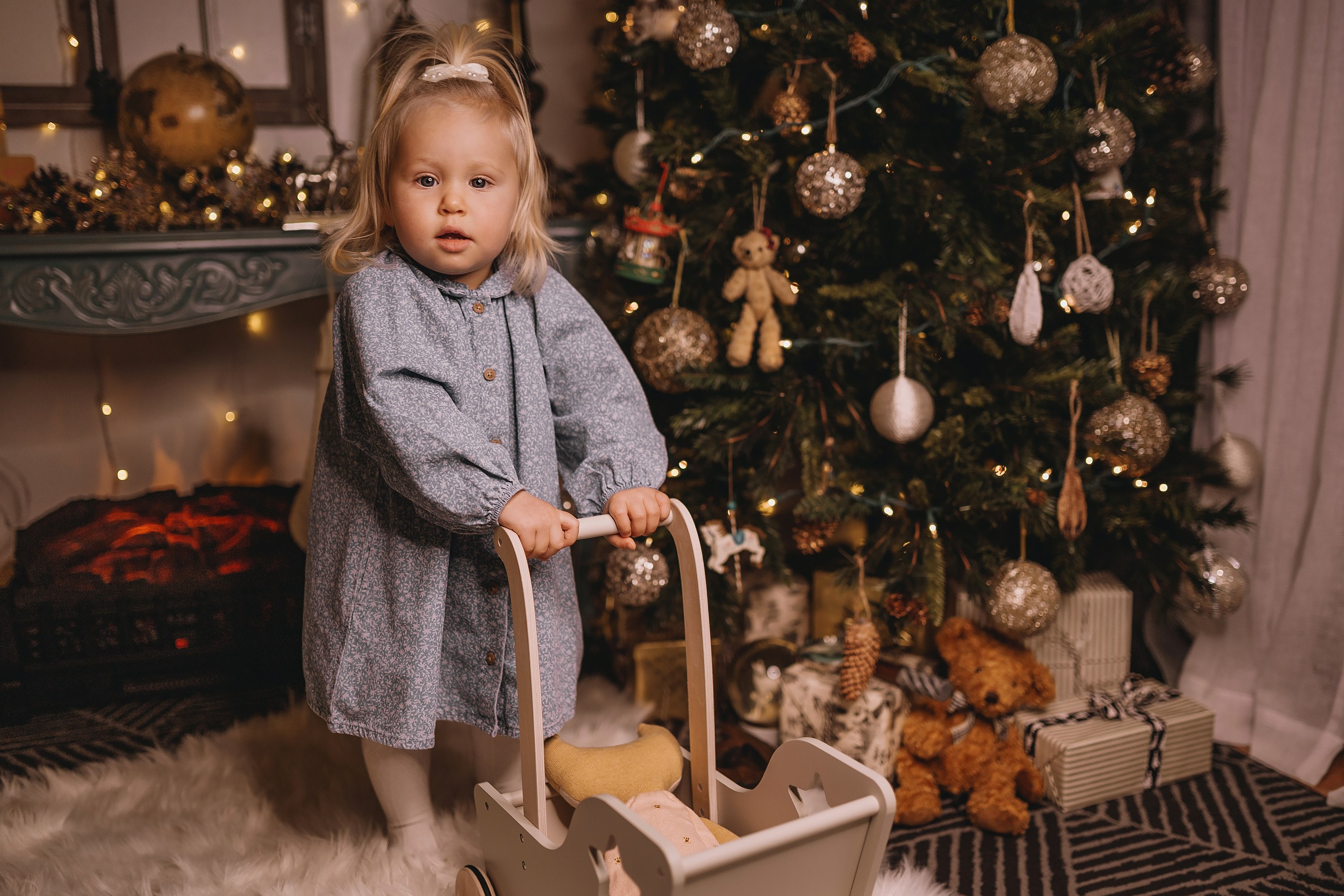 12.08.2025 Christmas Photoshoot. Wedding family event photographer in Chicago Nick Yushevich