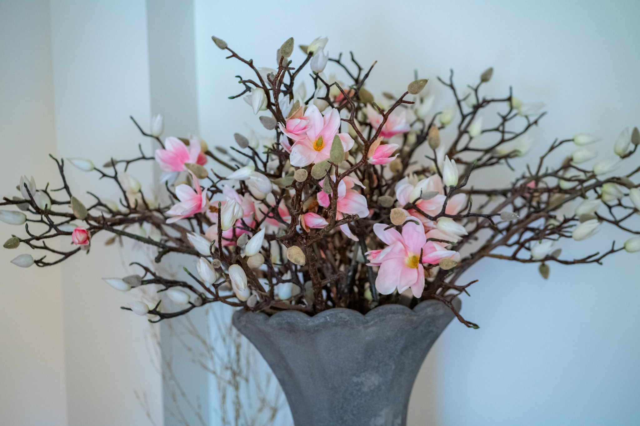 The blooms BTS. Vancouver Kids Photographer