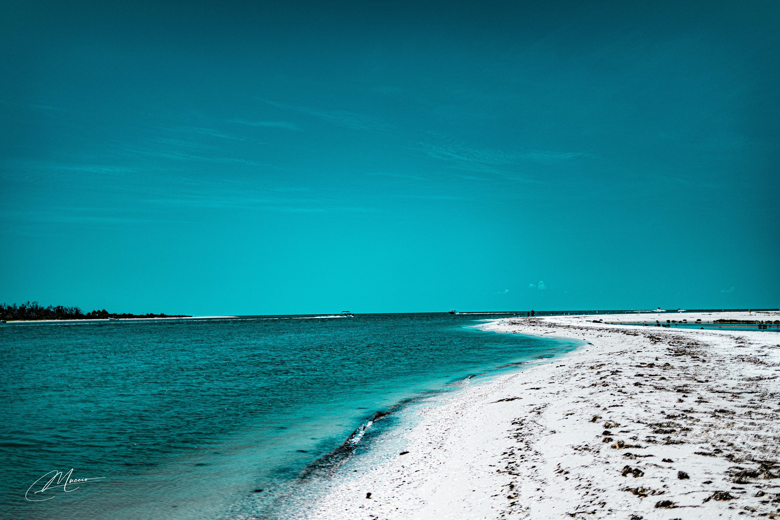 Fort Myers. Out and About 239